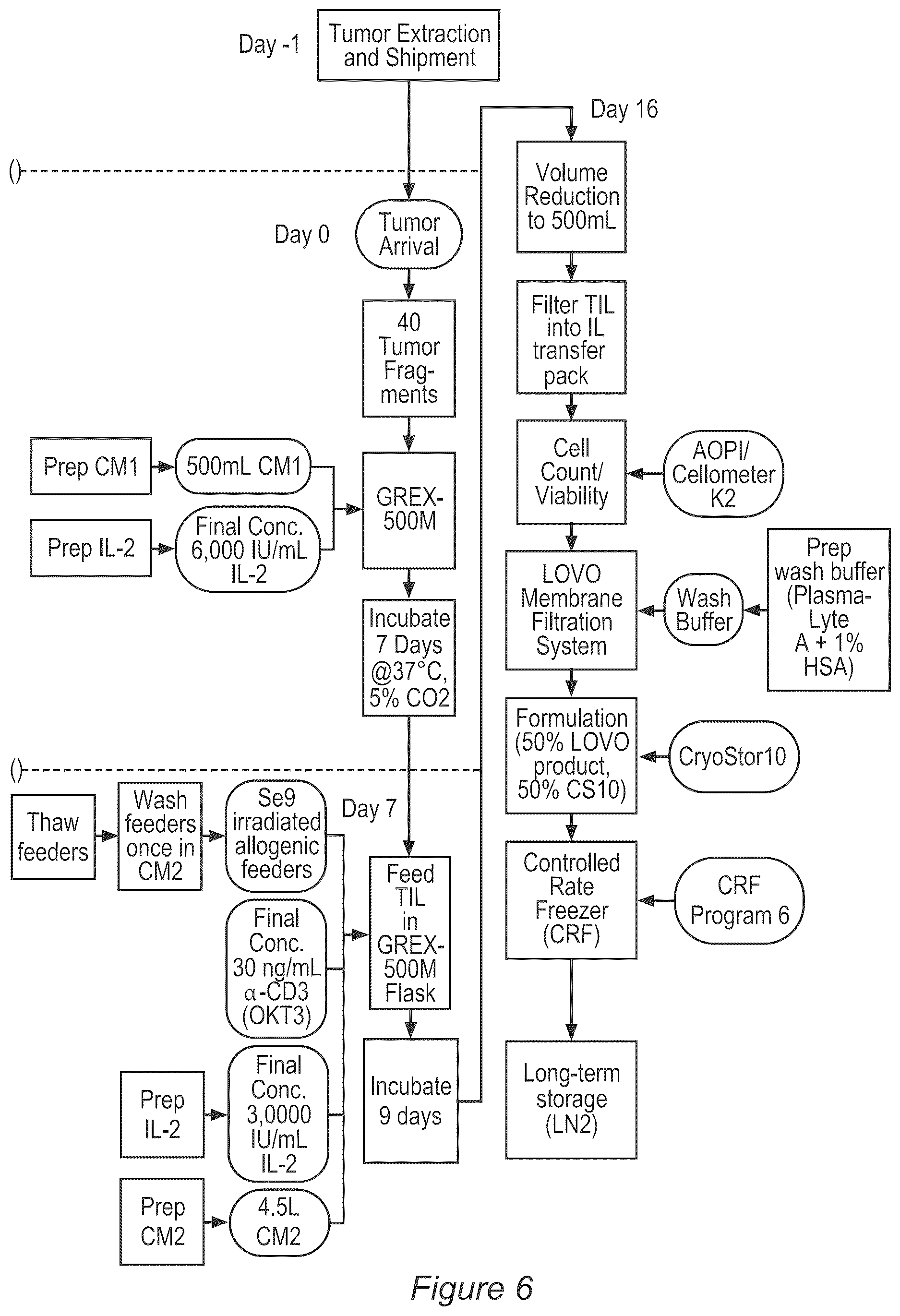 Patent US12611429 Figure 6 – Processes for production of tumor infiltrating lymphocytes and uses of same in immunotherapy