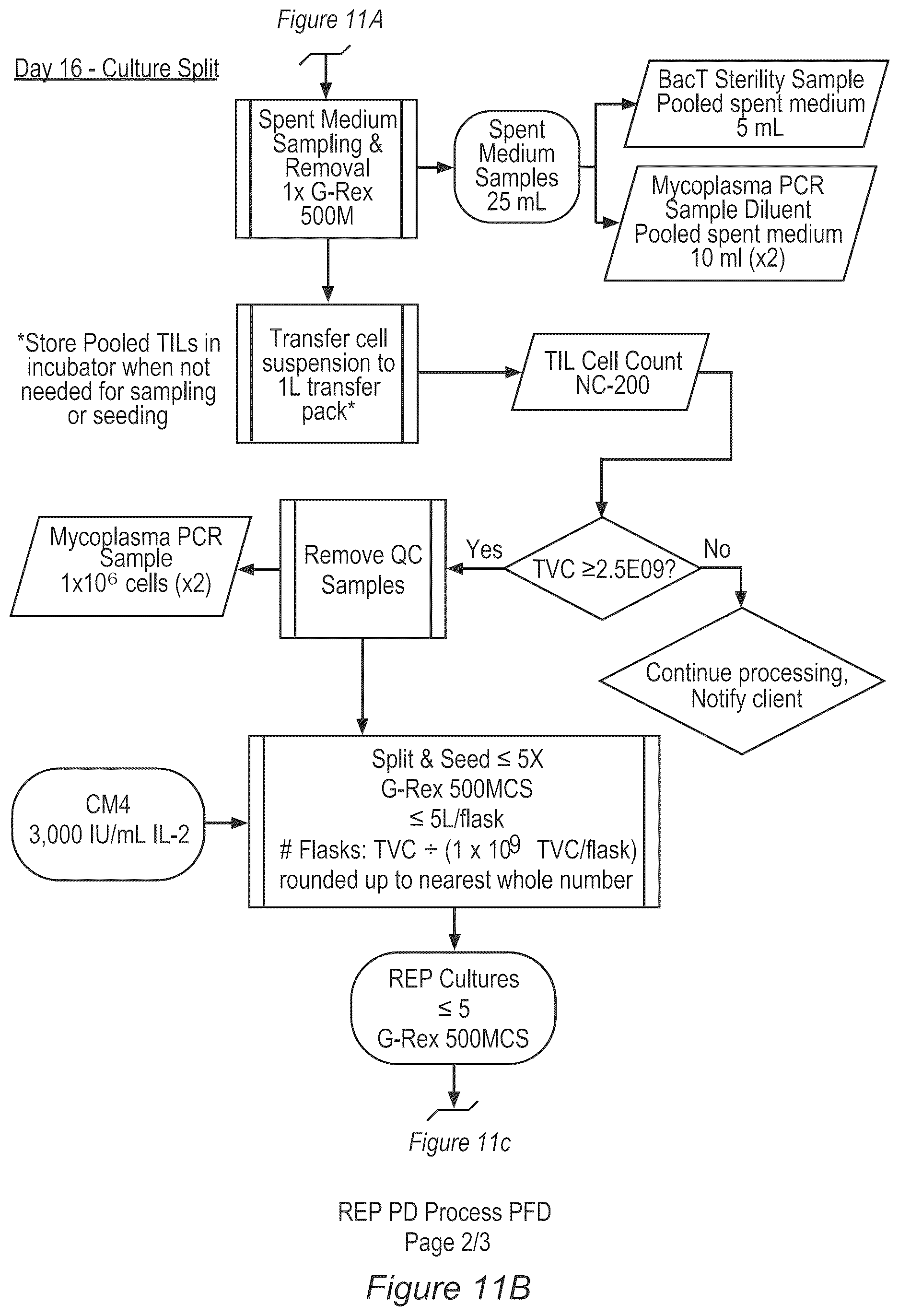 Patent US12611429 Figure 12 – Processes for production of tumor infiltrating lymphocytes and uses of same in immunotherapy
