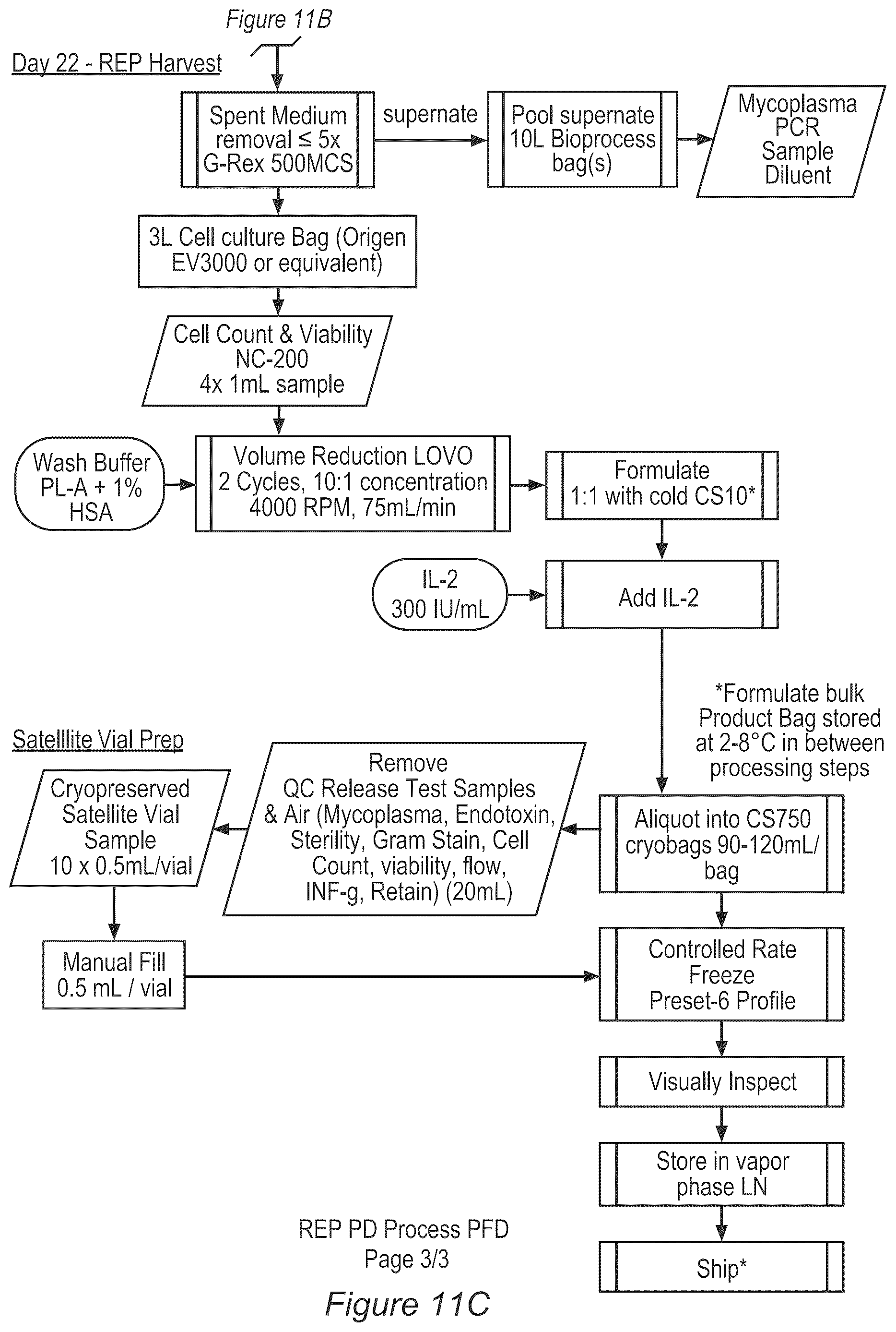 Patent US12611429 Figure 13 – Processes for production of tumor infiltrating lymphocytes and uses of same in immunotherapy