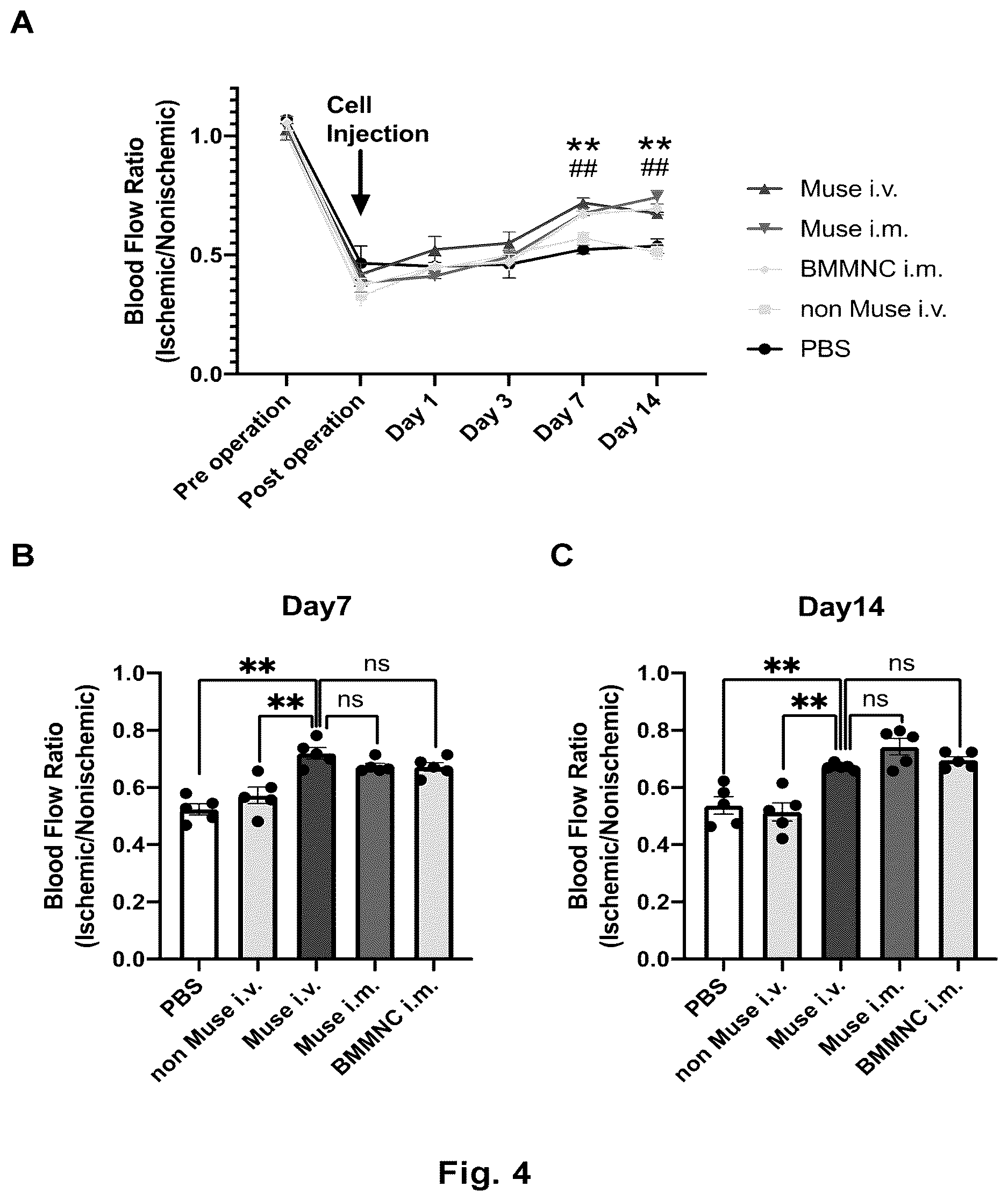 Patent US12611430 Figure 3 – Therapeutic agent of peripheral blood flow disorder