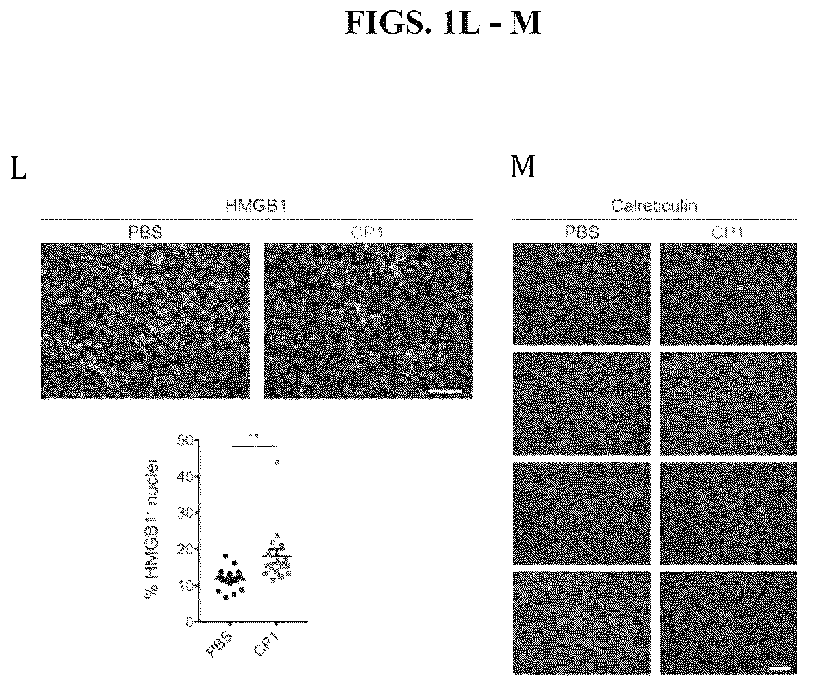 Patent US12611432 Figure 2 – Immunostimulatory bacteria for the treatment of cancer
