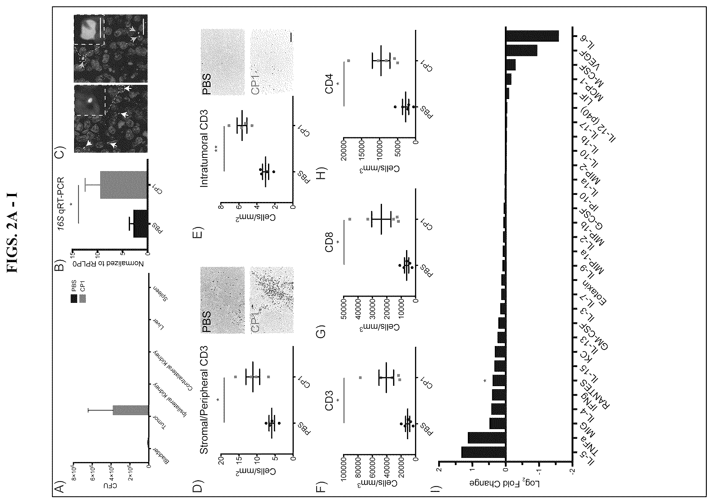 Patent US12611432 Figure 3 – Immunostimulatory bacteria for the treatment of cancer
