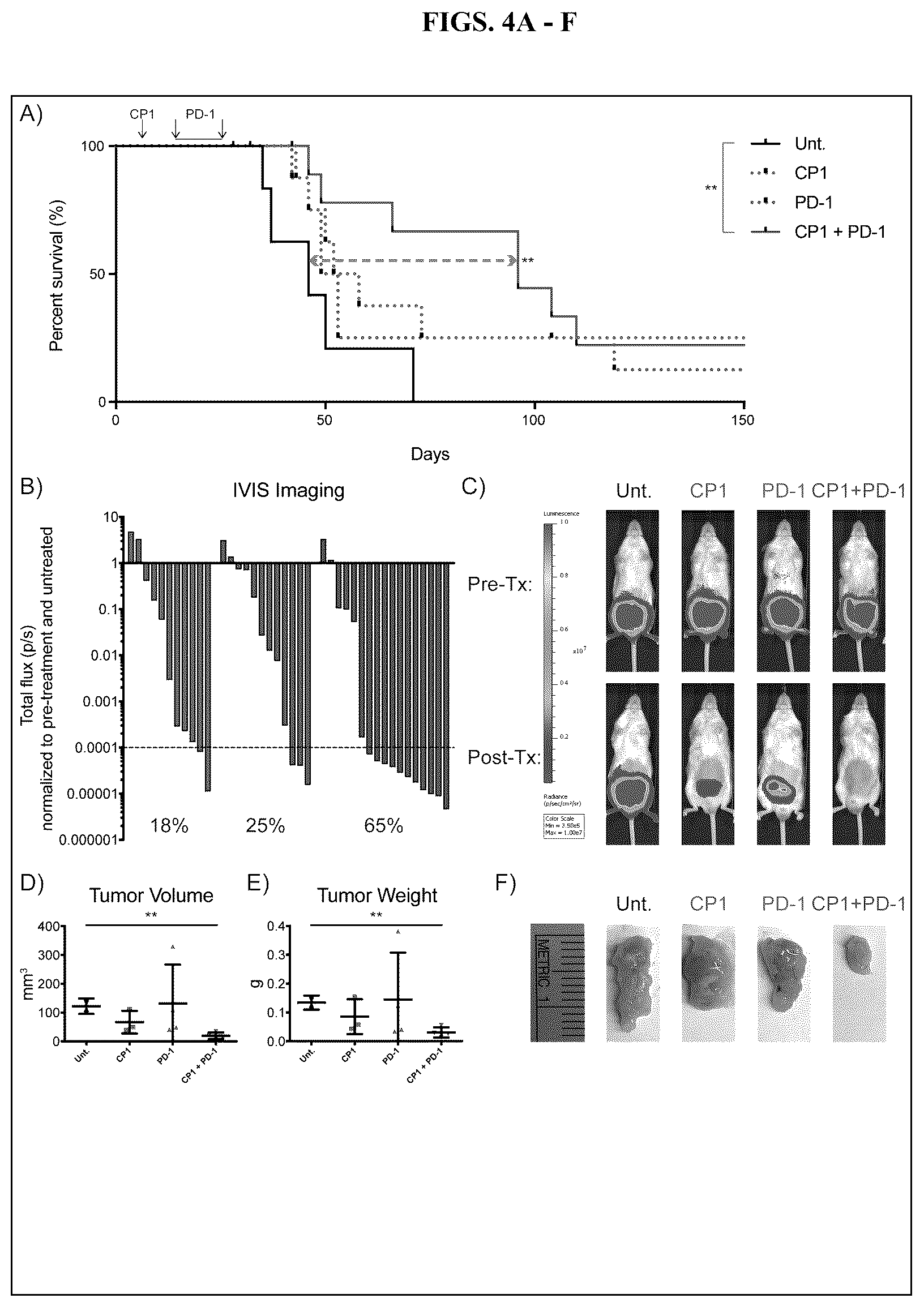 Patent US12611432 Figure 5 – Immunostimulatory bacteria for the treatment of cancer