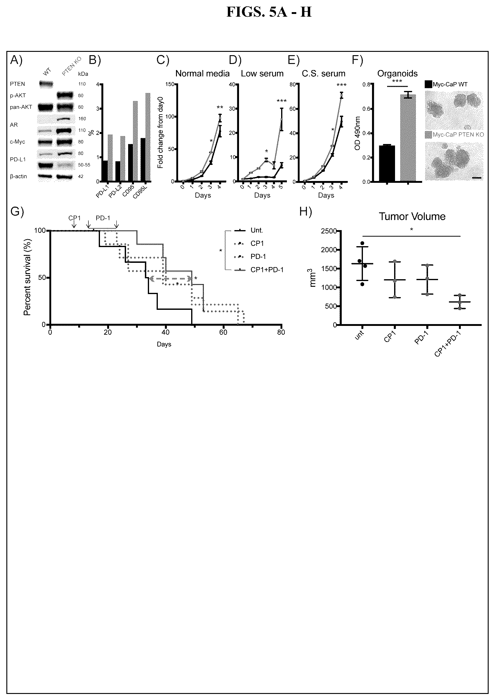 Patent US12611432 Figure 6 – Immunostimulatory bacteria for the treatment of cancer