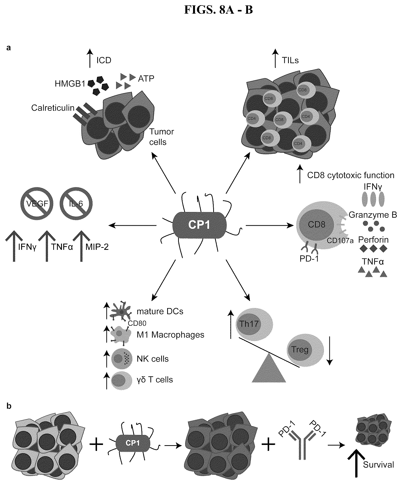 Patent US12611432 Figure 9 – Immunostimulatory bacteria for the treatment of cancer