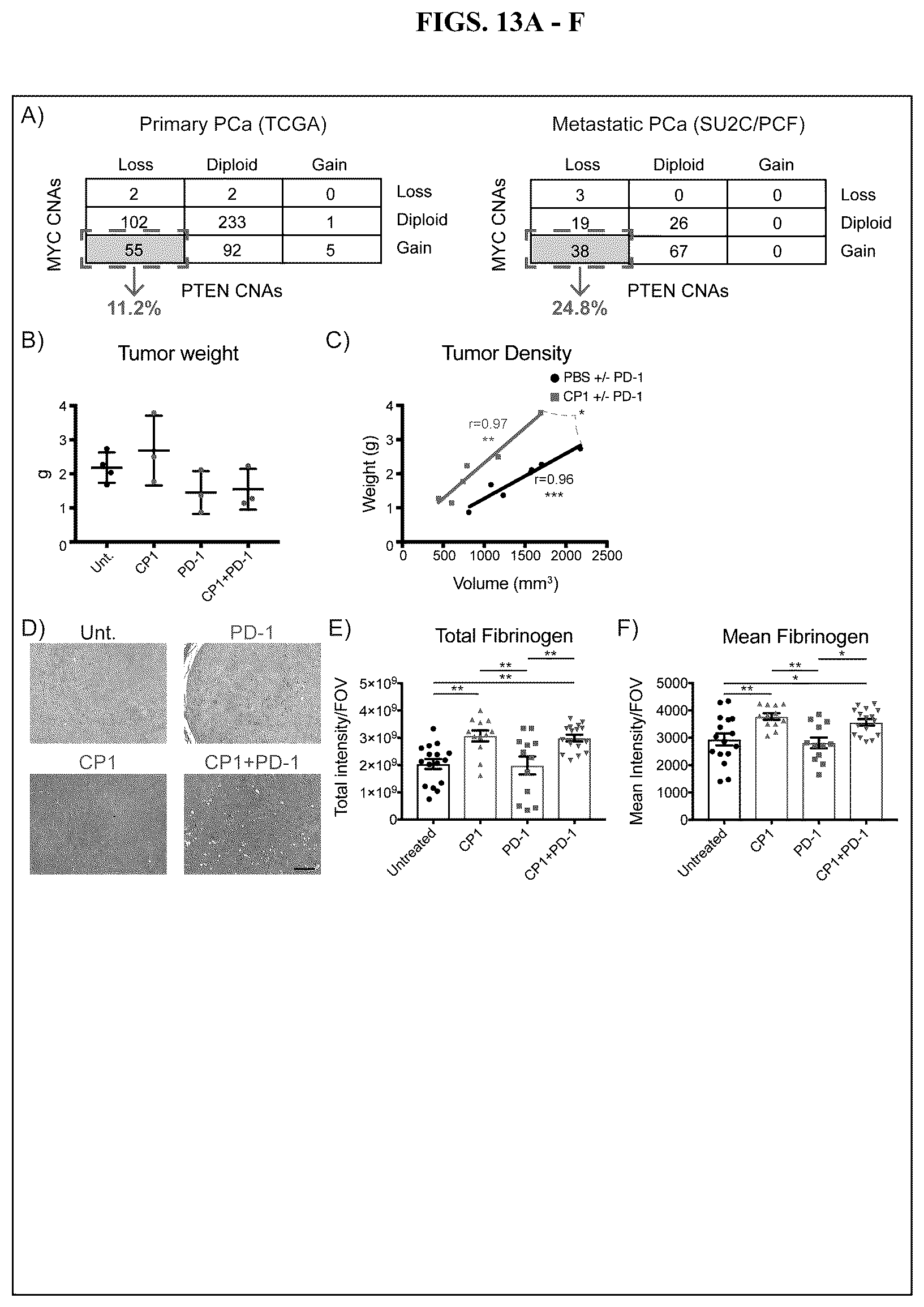 Patent US12611432 Figure 14 – Immunostimulatory bacteria for the treatment of cancer