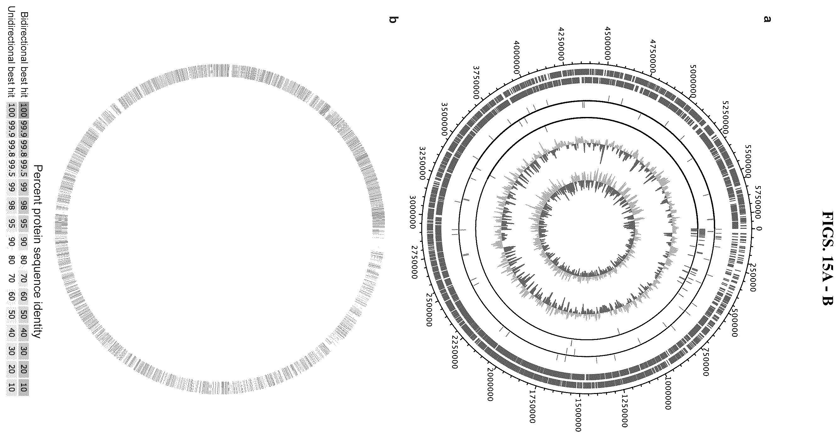 Patent US12611432 Figure 16 – Immunostimulatory bacteria for the treatment of cancer