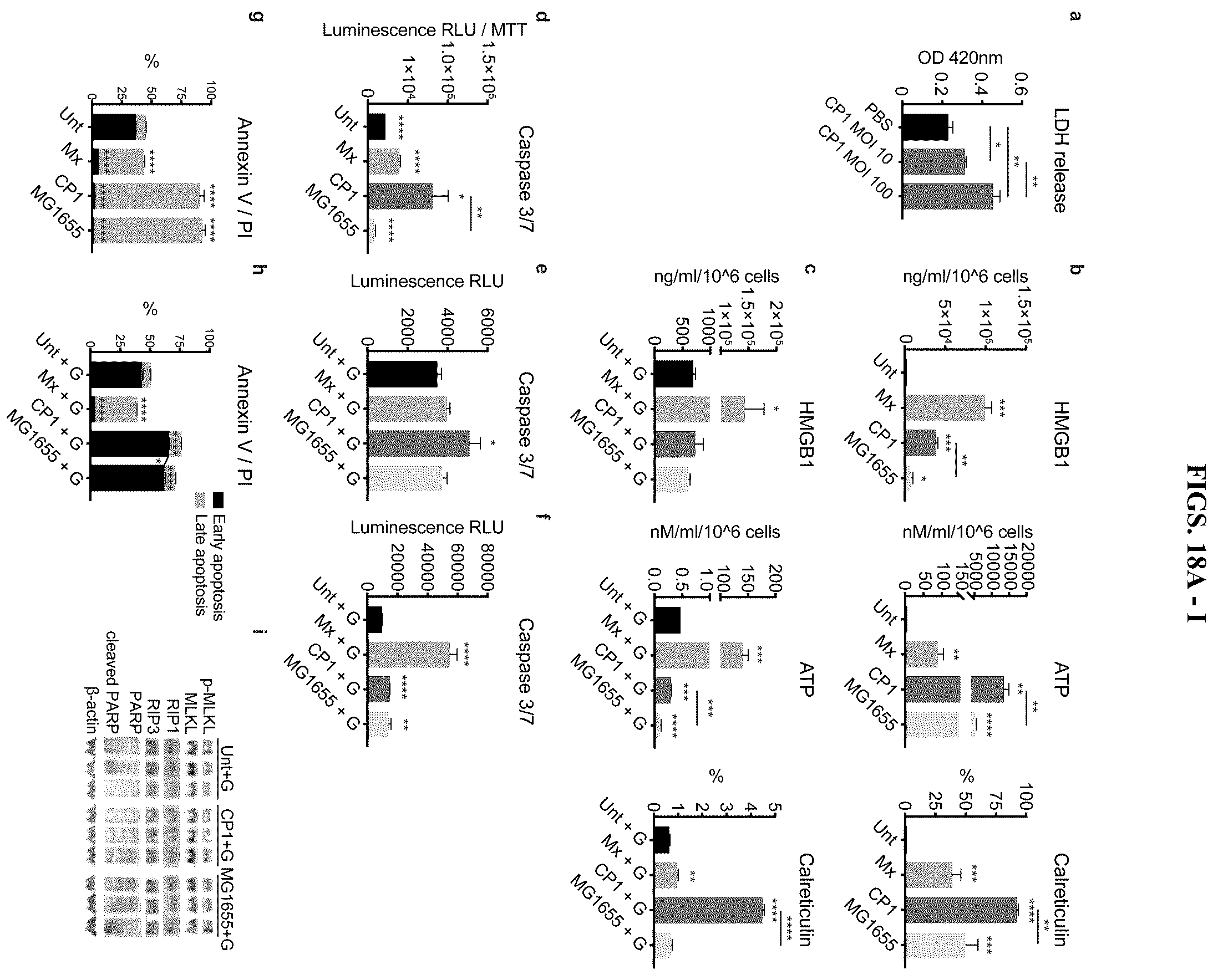 Patent US12611432 Figure 18 – Immunostimulatory bacteria for the treatment of cancer