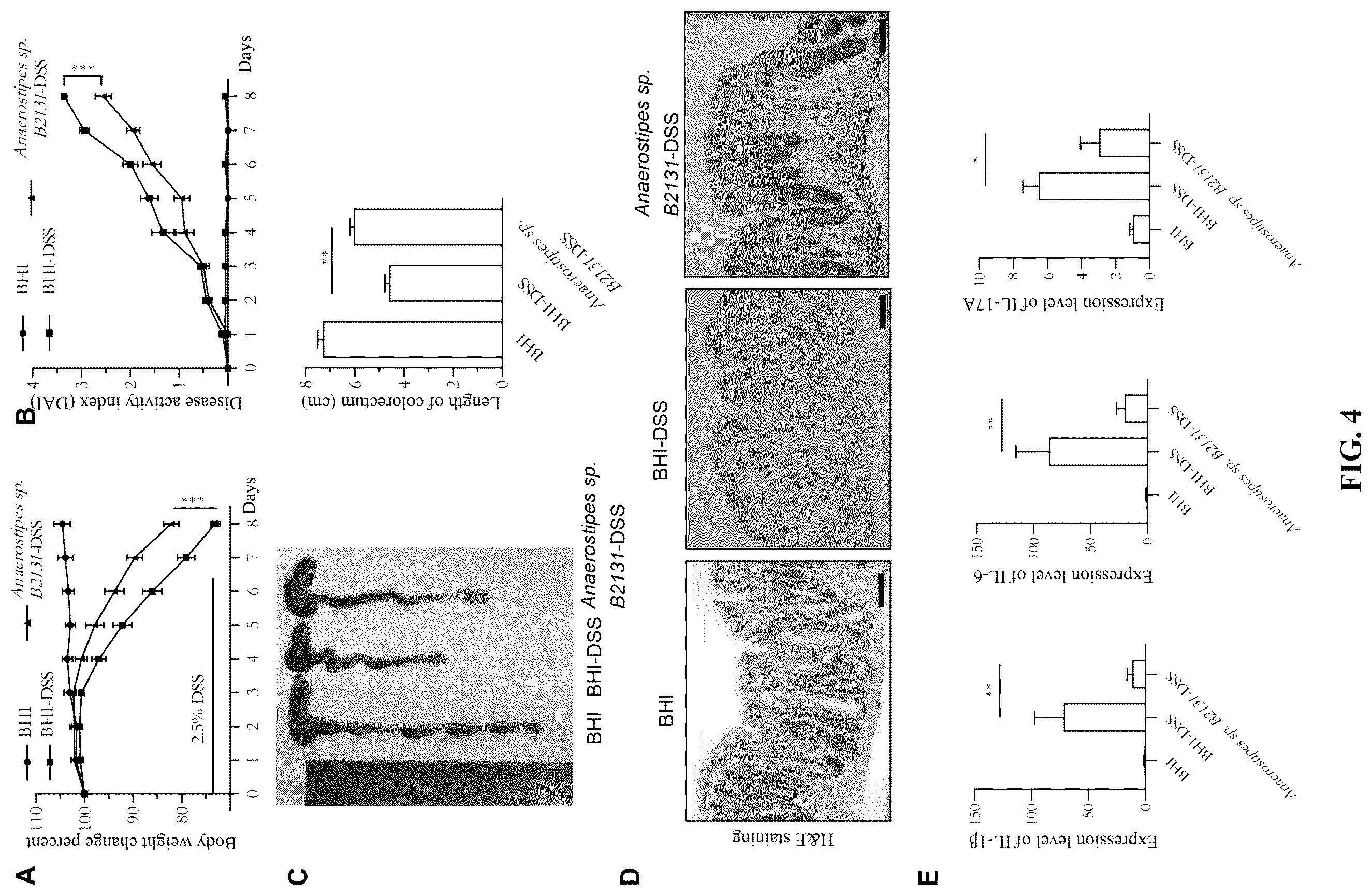 Patent US12611433 Figure 4 – Anaerostipes sp B2131 strain and application thereof in inflammatory bowel diseases