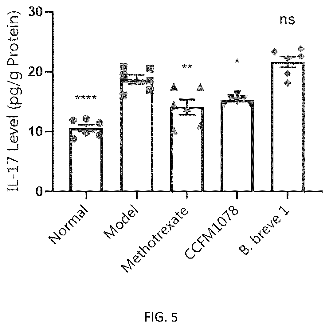 Patent US12611434 Figure 3 – Bifidobacterium brevis and its application in preventing or alleviating psoriasis thereof