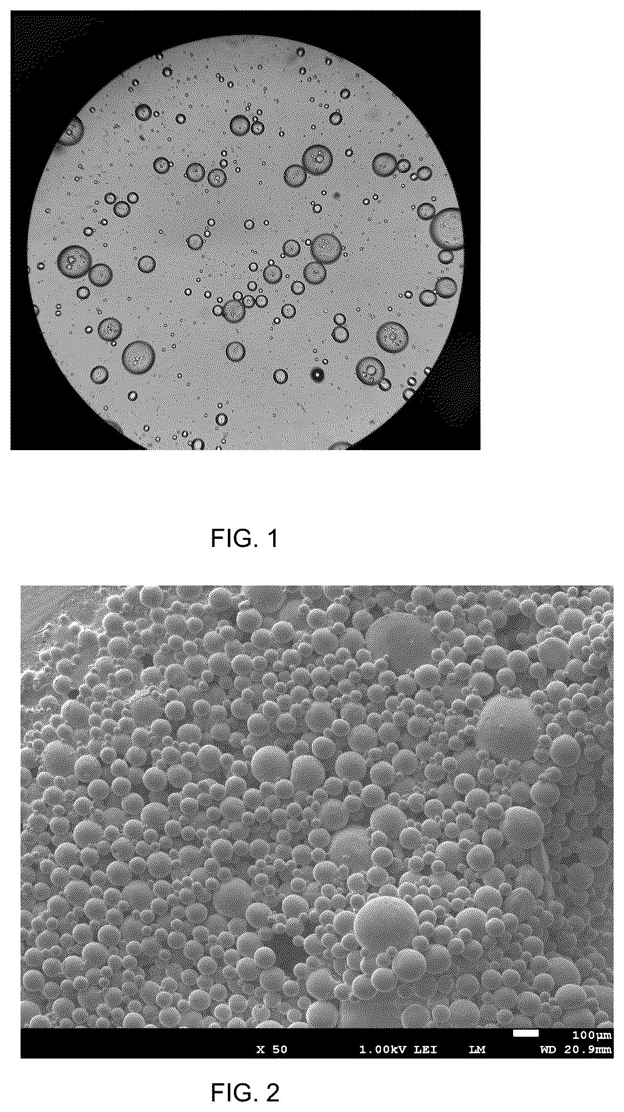 Patent US12611435 Figure 1 – Microencapsulation of bacteriophages and related products