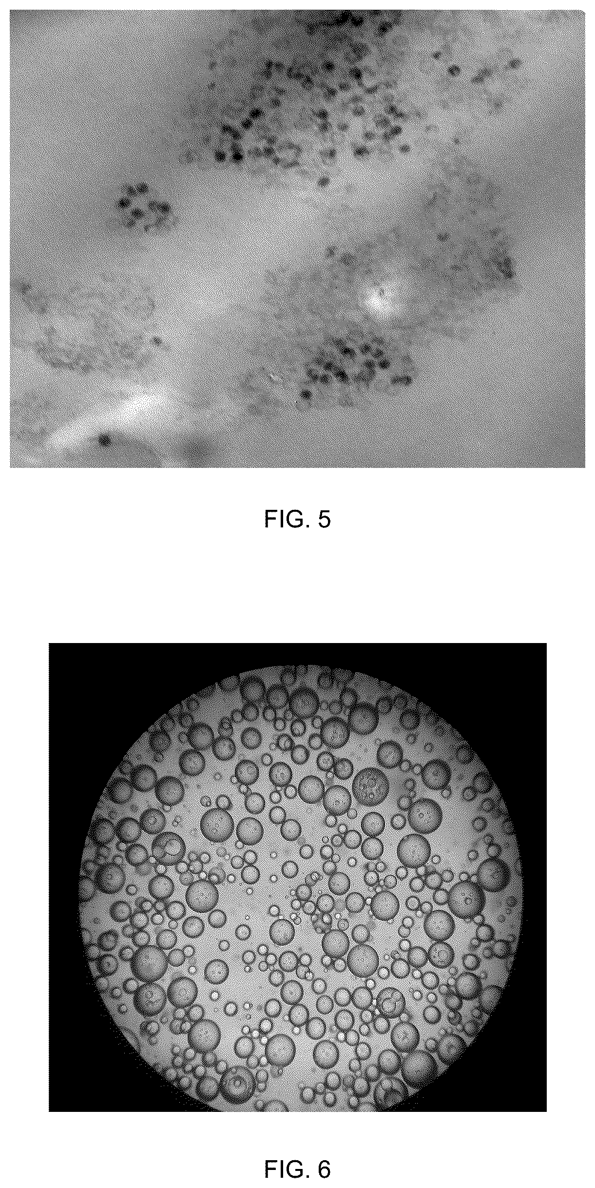 Patent US12611435 Figure 3 – Microencapsulation of bacteriophages and related products