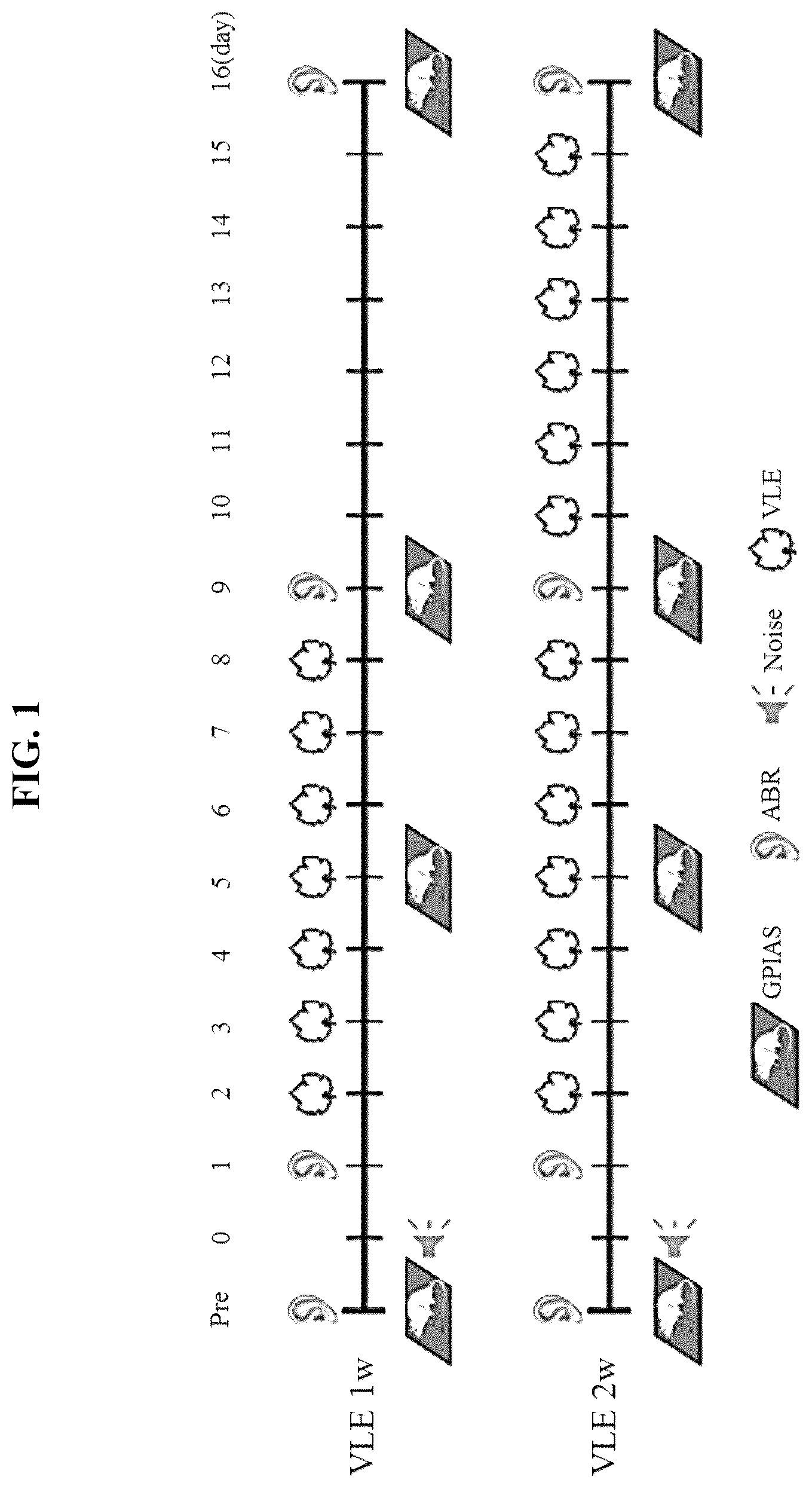 Patent US12611437 Figure 1 – Composition for preventing or treating tinnitus comprising Vitis vinifera leaf extract as active ingredient