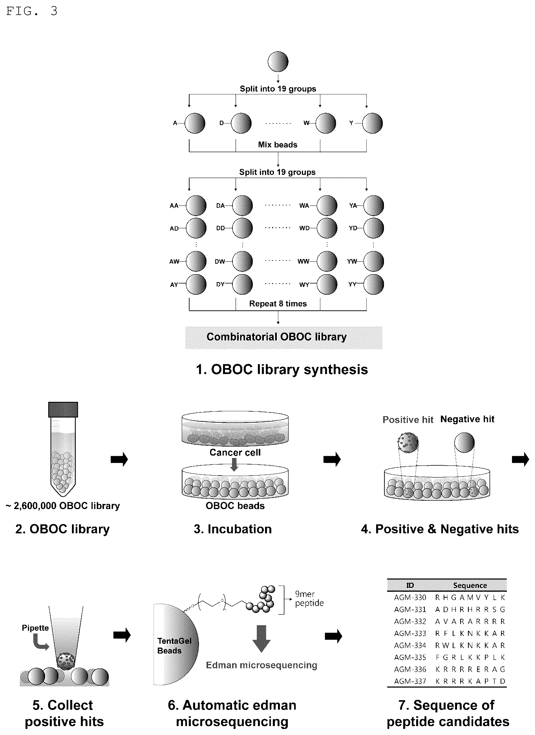 Patent US12611438 Figure 3 – Antiviral composition comprising a nucleolin-binding peptide
