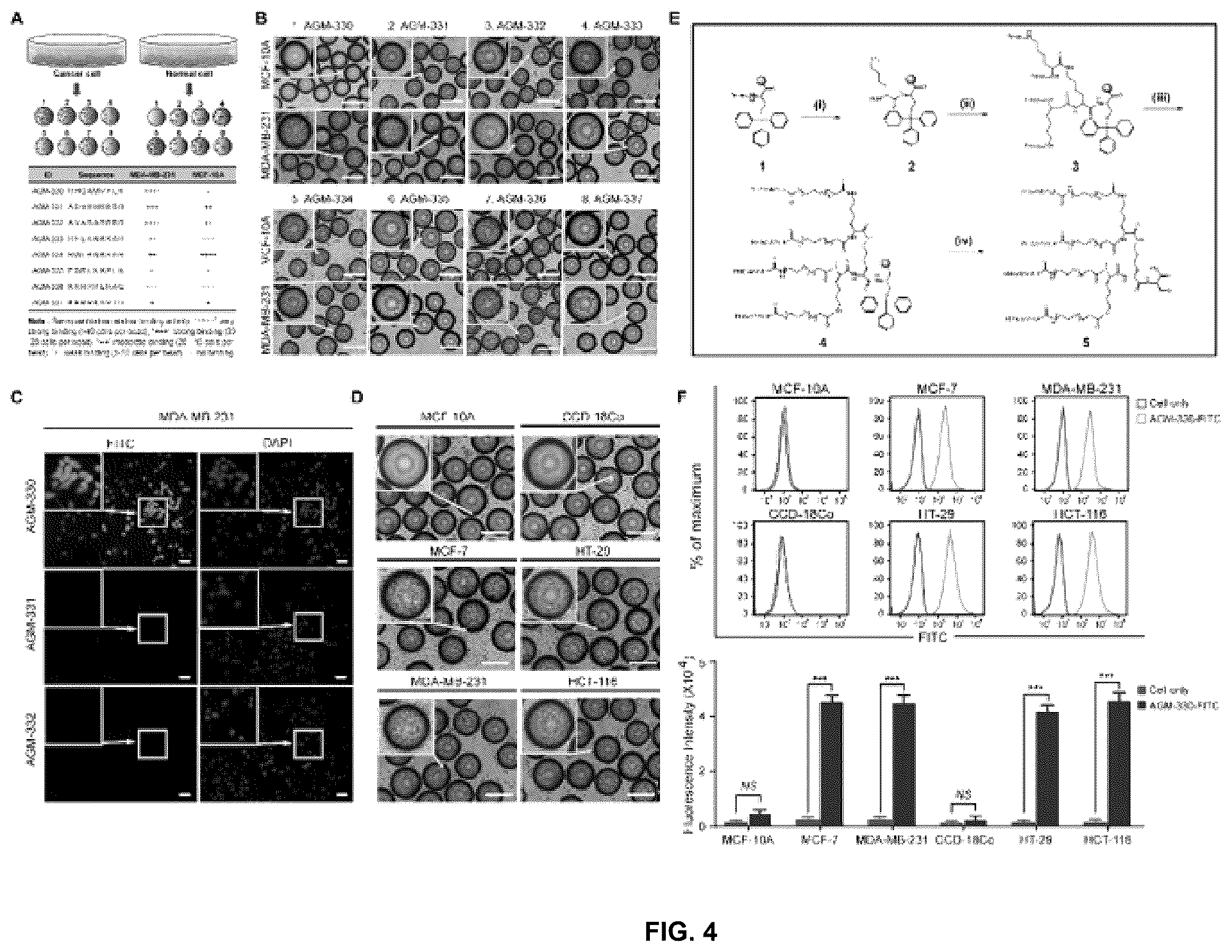 Patent US12611438 Figure 4 – Antiviral composition comprising a nucleolin-binding peptide