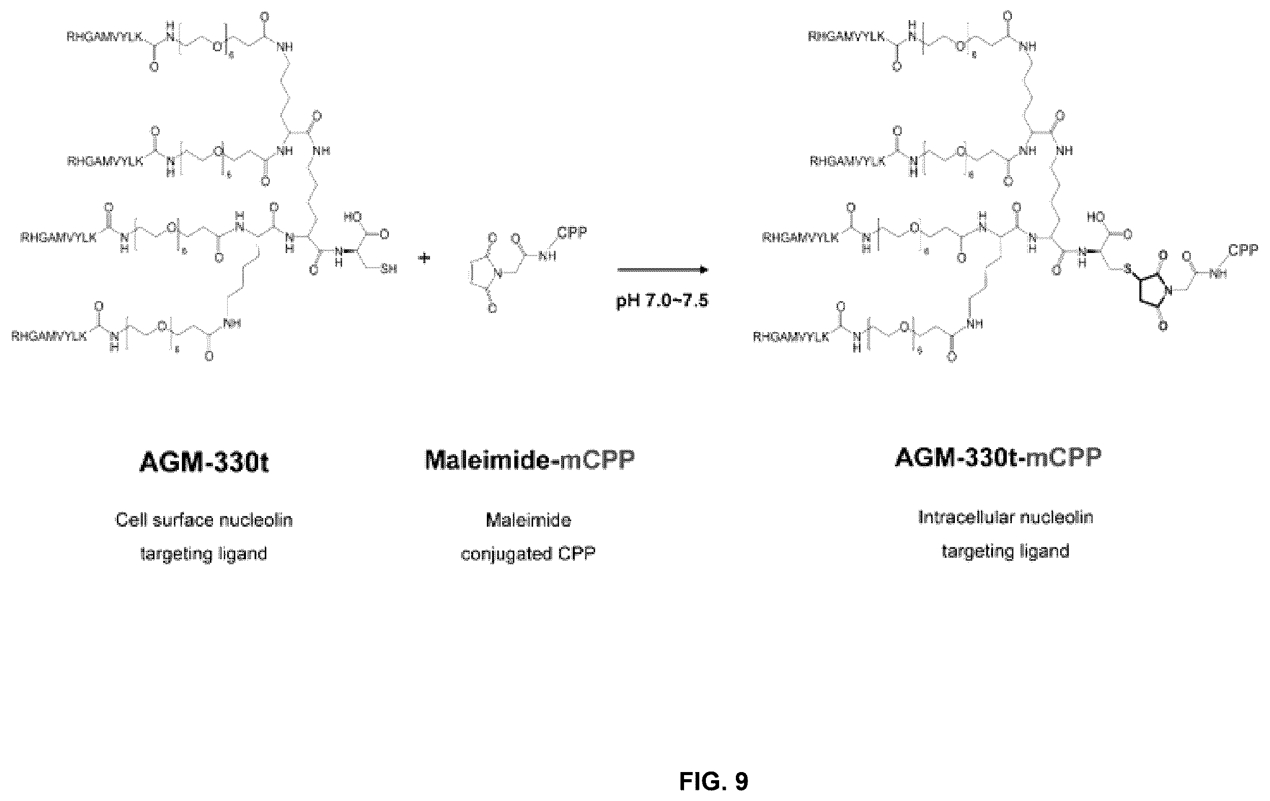Patent US12611438 Figure 9 – Antiviral composition comprising a nucleolin-binding peptide