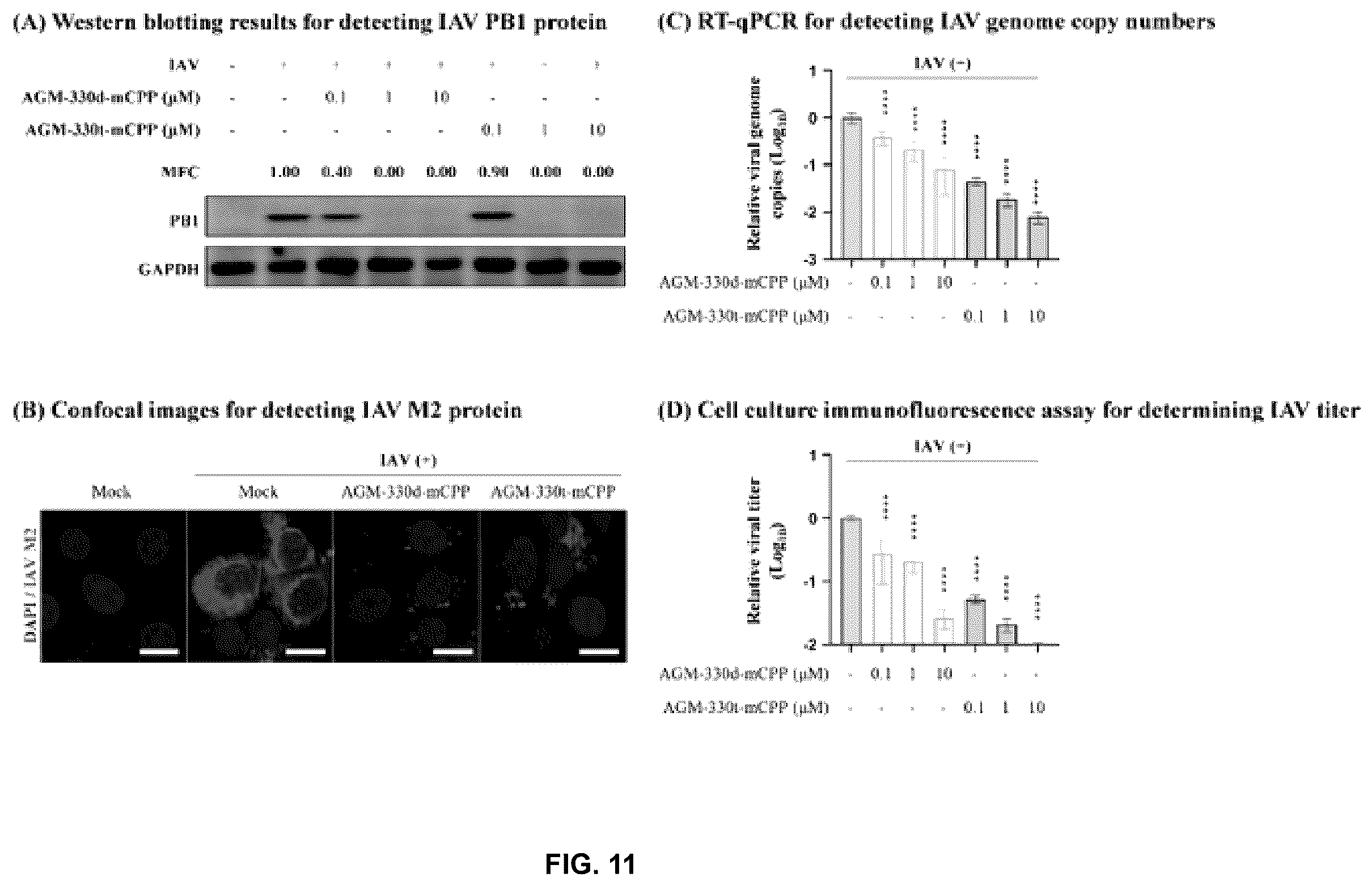 Patent US12611438 Figure 11 – Antiviral composition comprising a nucleolin-binding peptide