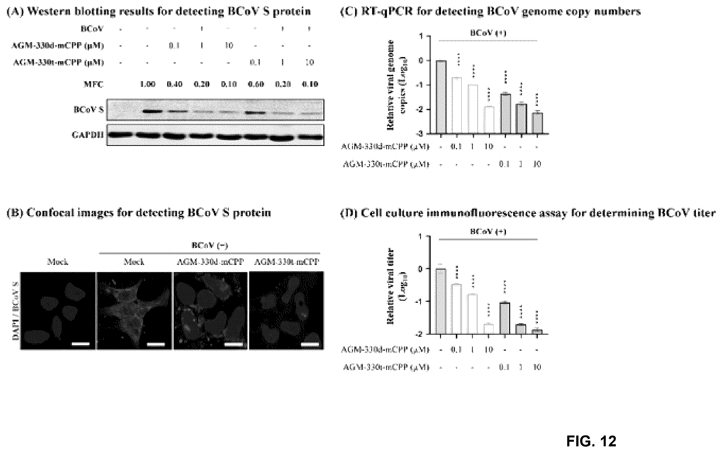 Patent US12611438 Figure 12 – Antiviral composition comprising a nucleolin-binding peptide