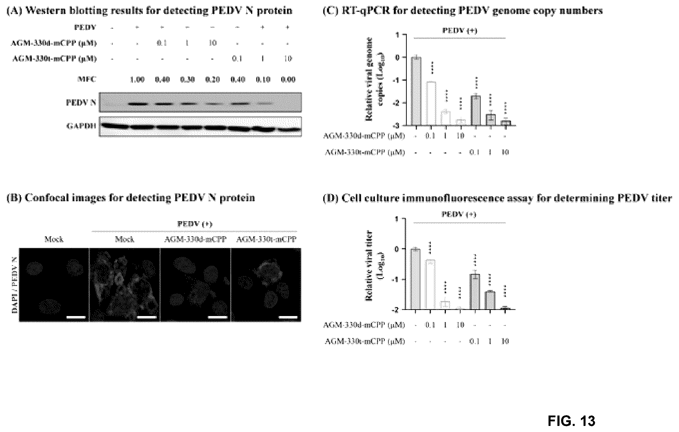 Patent US12611438 Figure 13 – Antiviral composition comprising a nucleolin-binding peptide