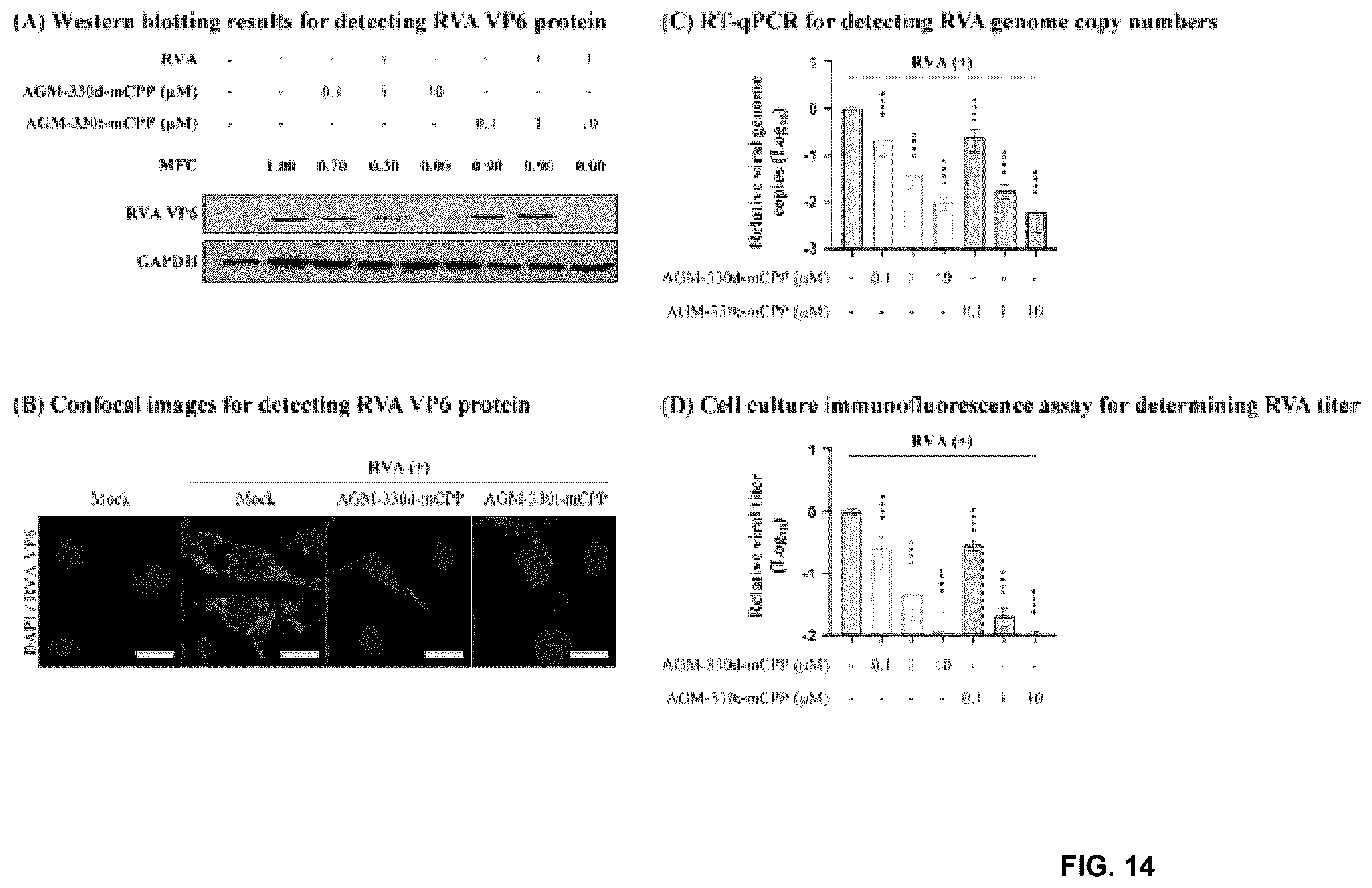 Patent US12611438 Figure 14 – Antiviral composition comprising a nucleolin-binding peptide