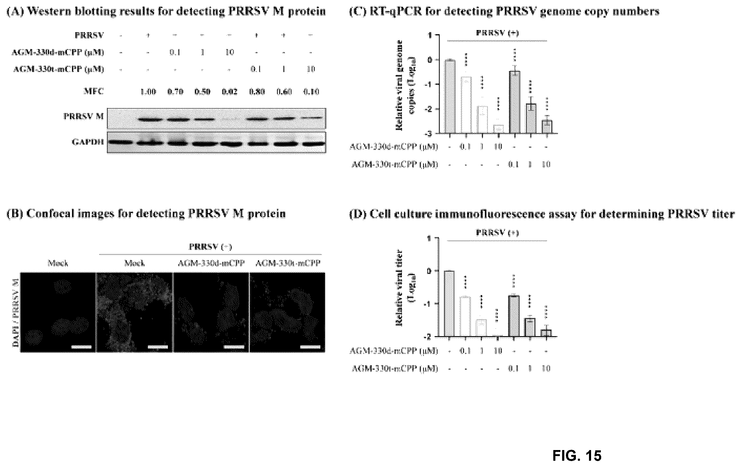 Patent US12611438 Figure 15 – Antiviral composition comprising a nucleolin-binding peptide