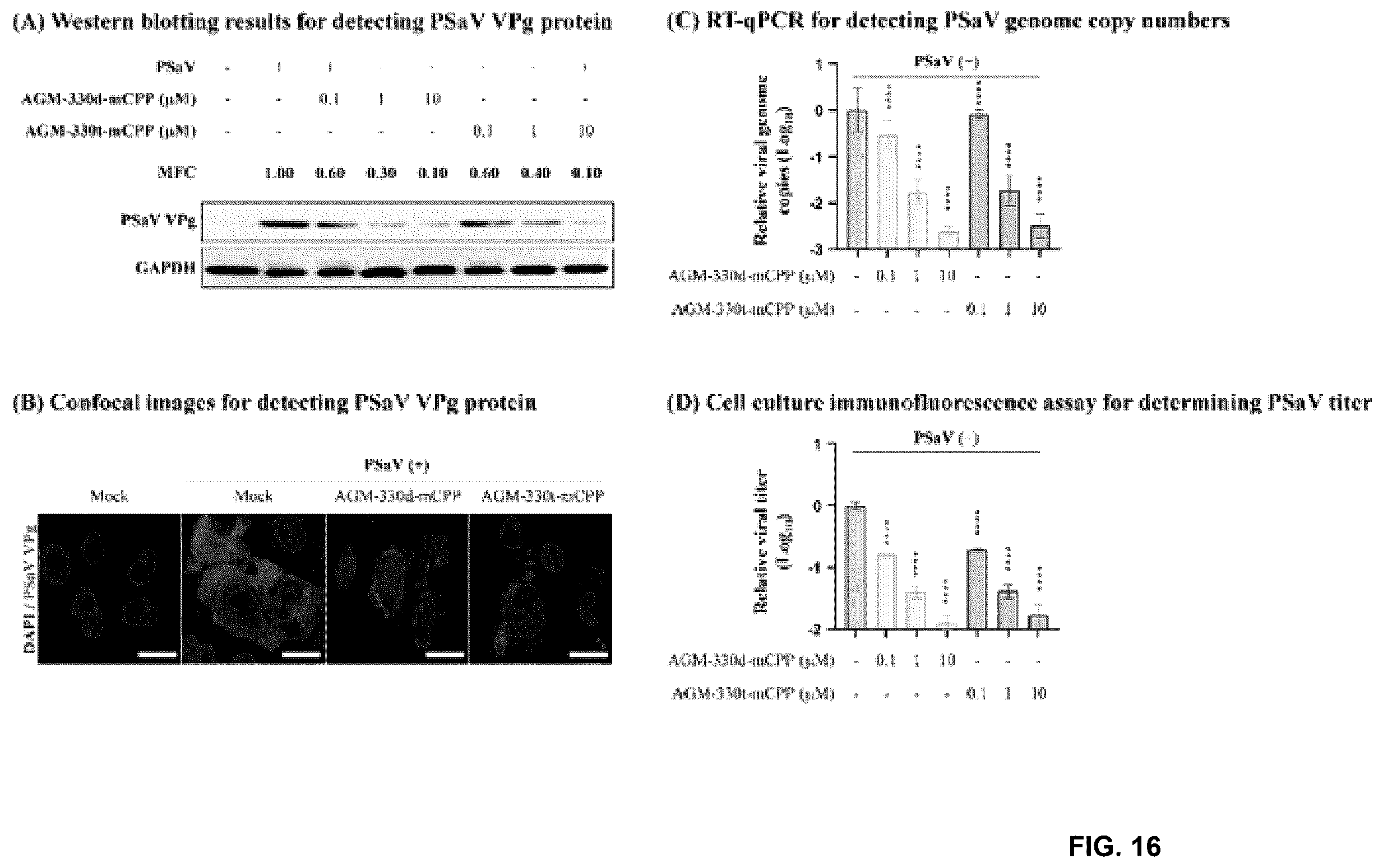 Patent US12611438 Figure 16 – Antiviral composition comprising a nucleolin-binding peptide