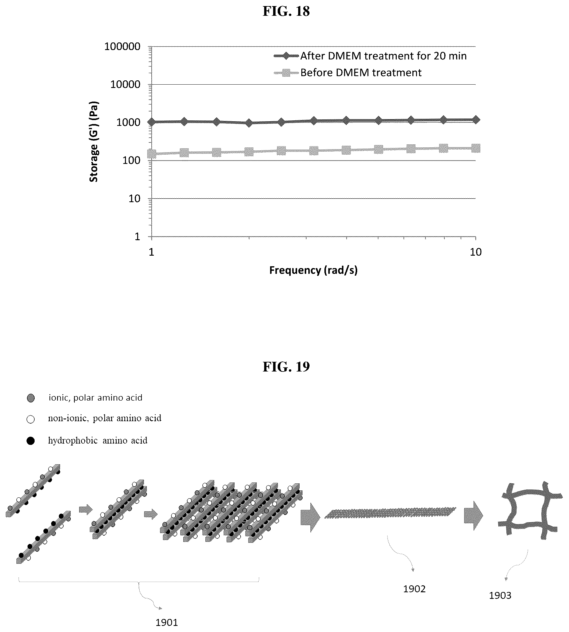 Patent US12611439 Figure 11 – Ionic self-assembling peptides