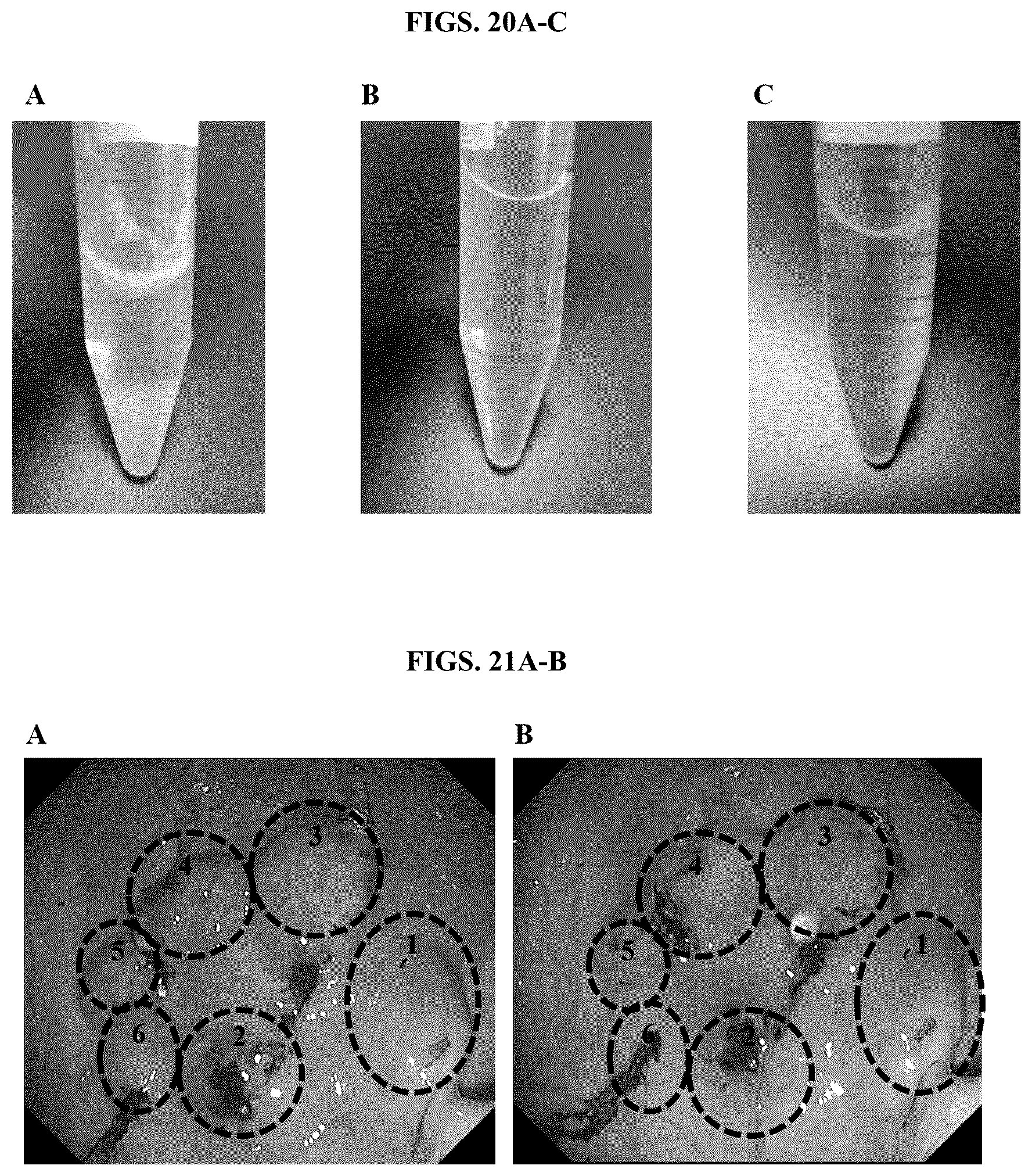 Patent US12611439 Figure 12 – Ionic self-assembling peptides