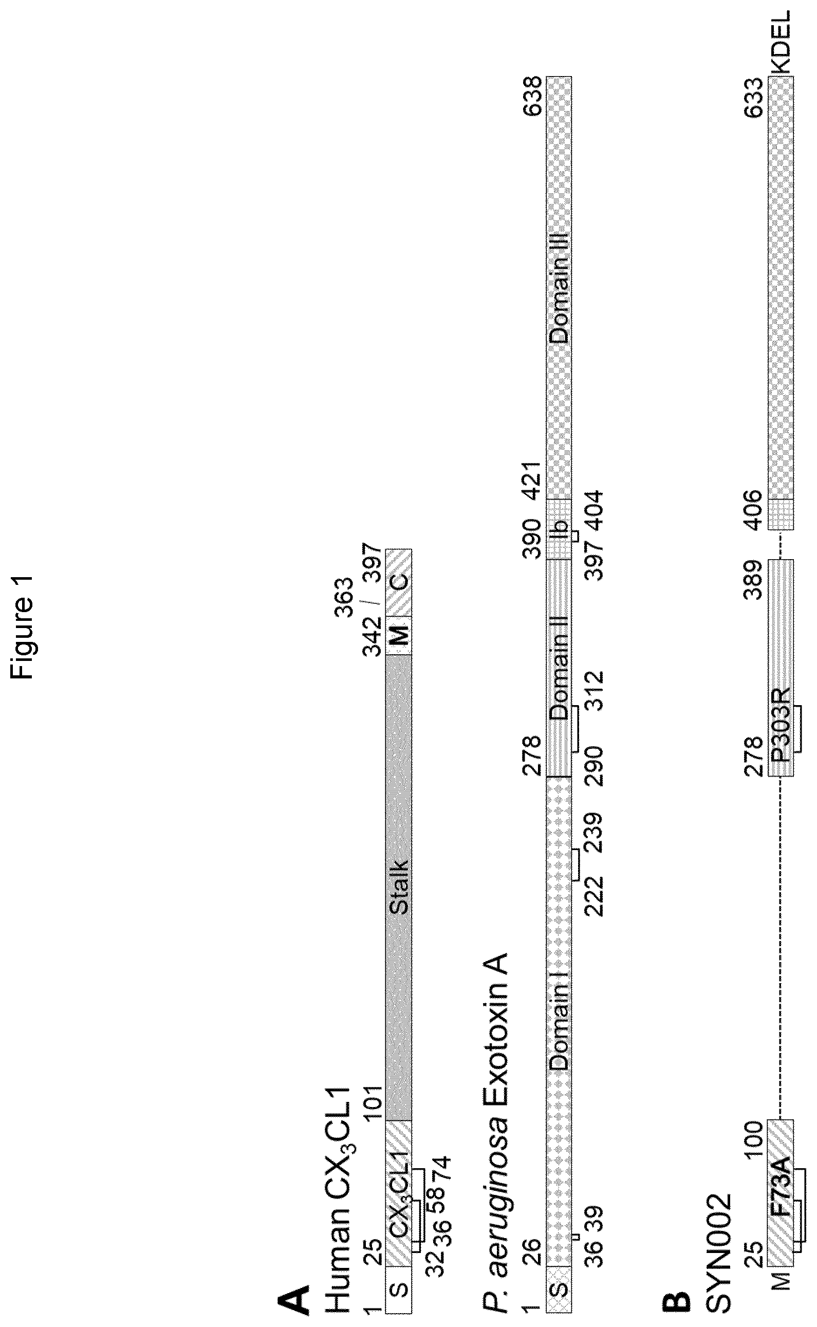 Patent US12611440 Figure 1 – Fusion proteins and uses thereof