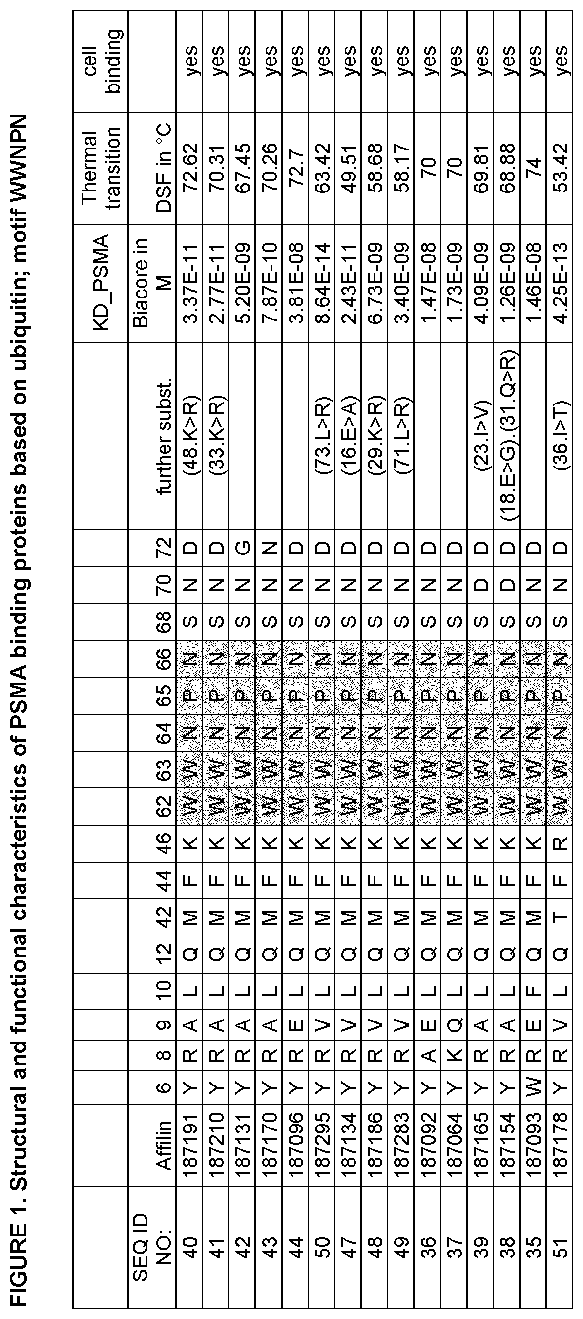 Patent US12611441 Figure 1 – PSMA specific binding proteins for cancer diagnosis and treatment