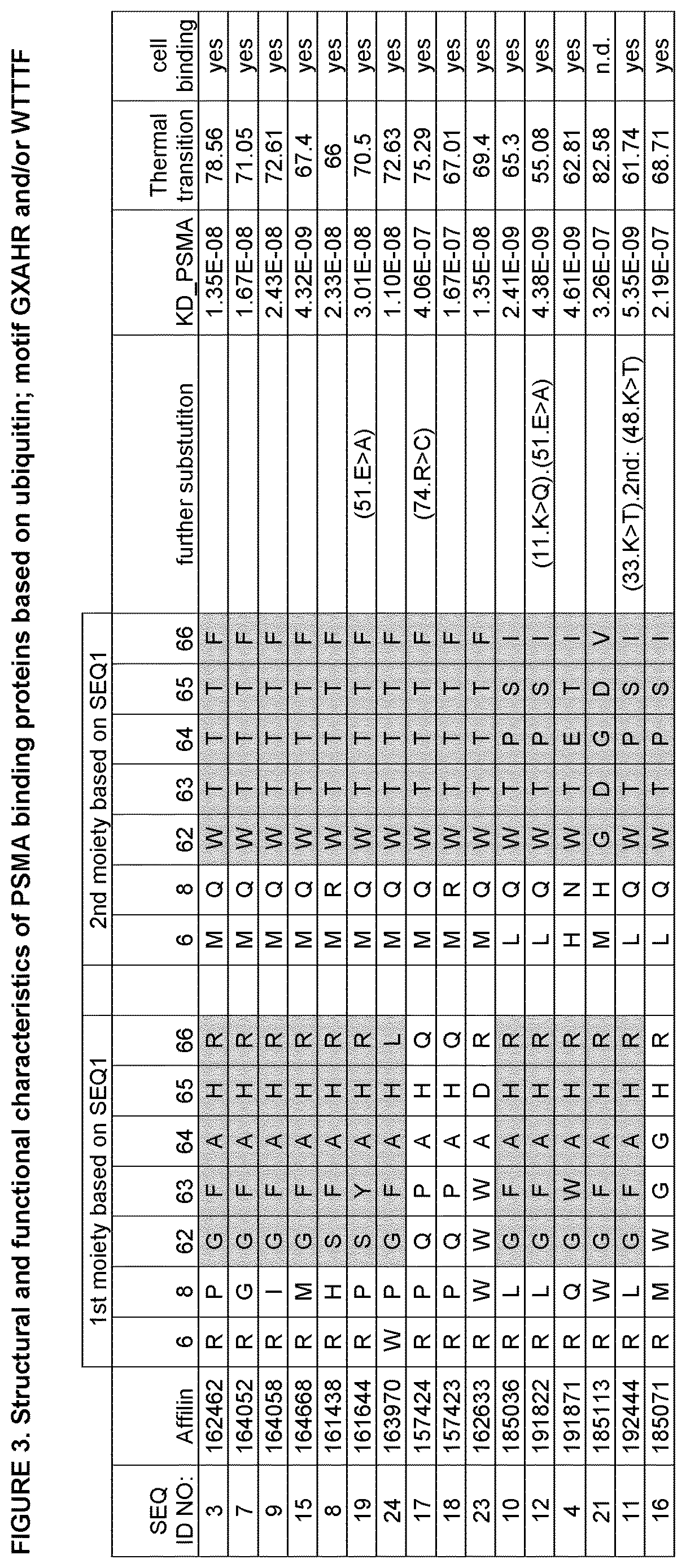 Patent US12611441 Figure 3 – PSMA specific binding proteins for cancer diagnosis and treatment
