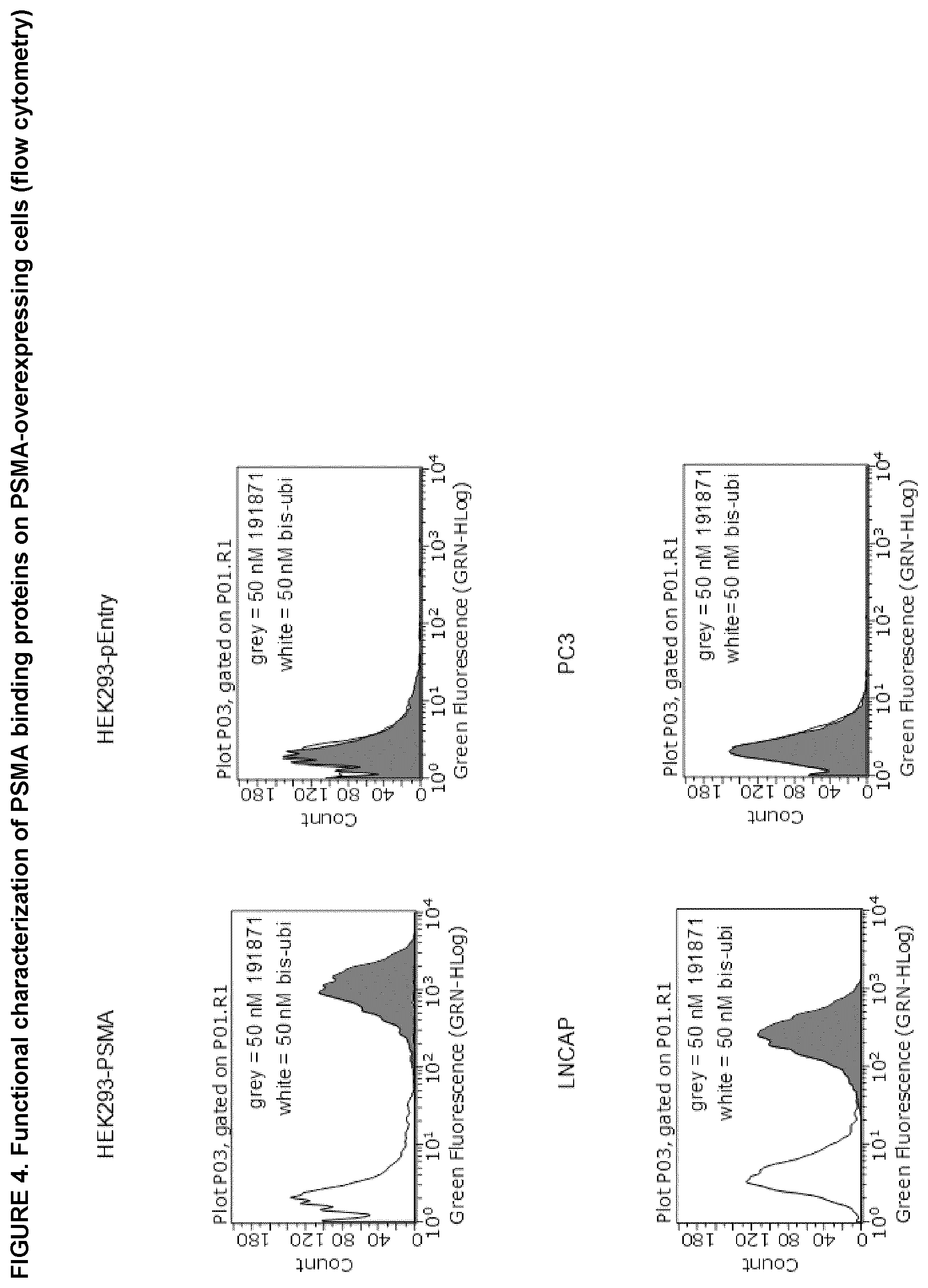 Patent US12611441 Figure 4 – PSMA specific binding proteins for cancer diagnosis and treatment