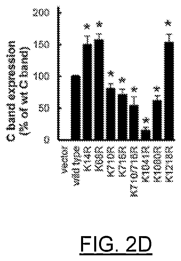 Patent US12611442 Figure 4 – mRNA encoding engineered CFTR