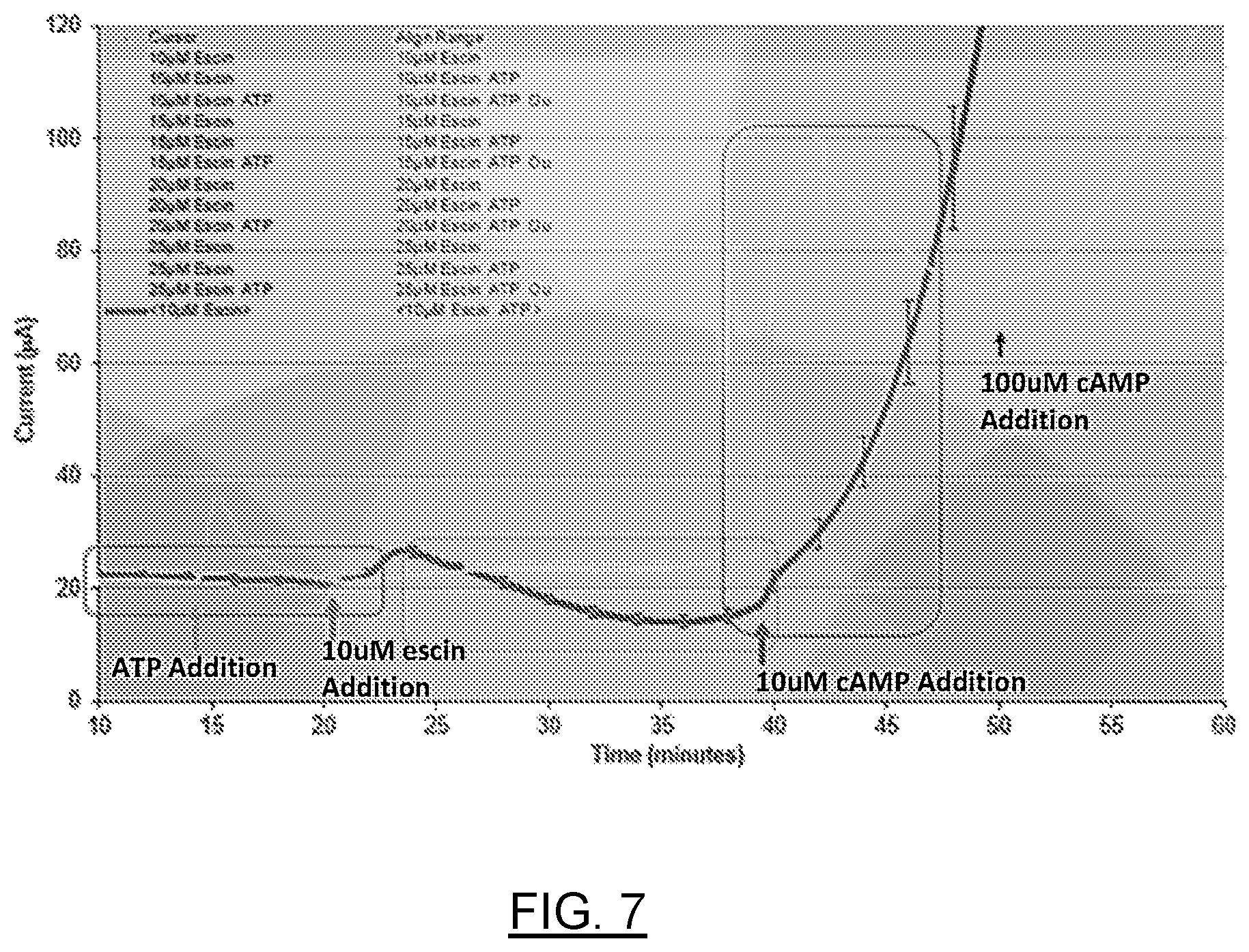 Patent US12611442 Figure 10 – mRNA encoding engineered CFTR