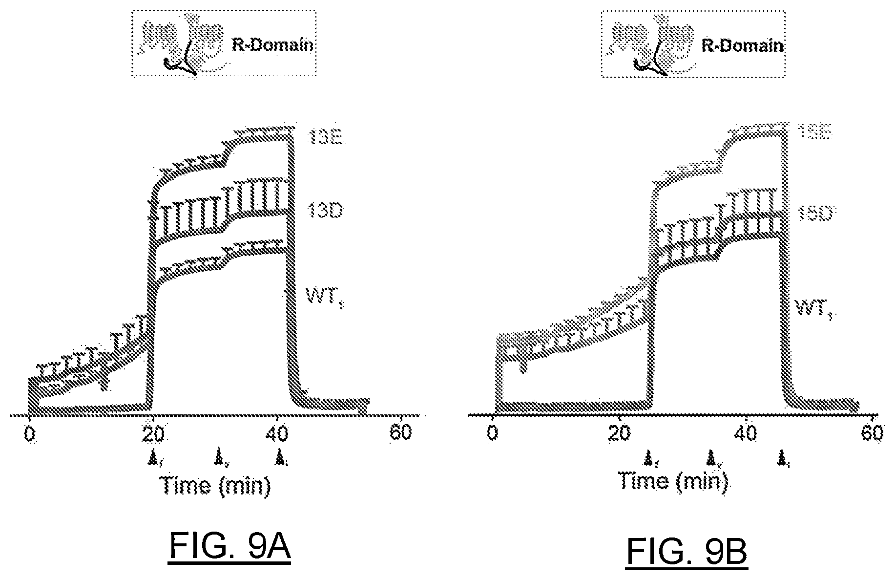 Patent US12611442 Figure 12 – mRNA encoding engineered CFTR