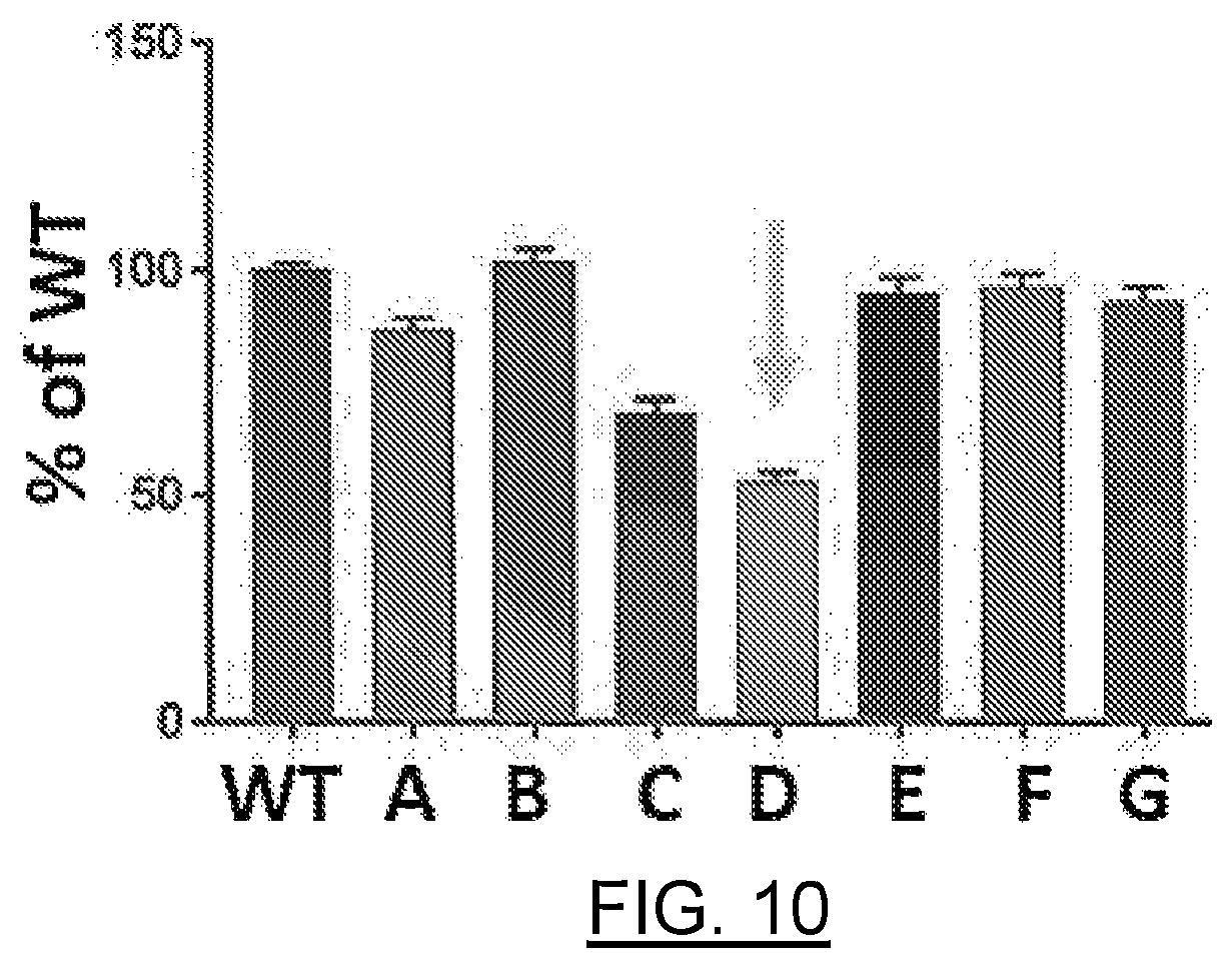 Patent US12611442 Figure 13 – mRNA encoding engineered CFTR