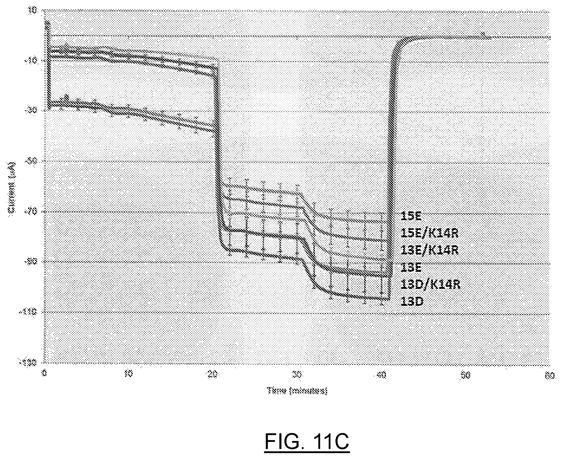 Patent US12611442 Figure 15 – mRNA encoding engineered CFTR