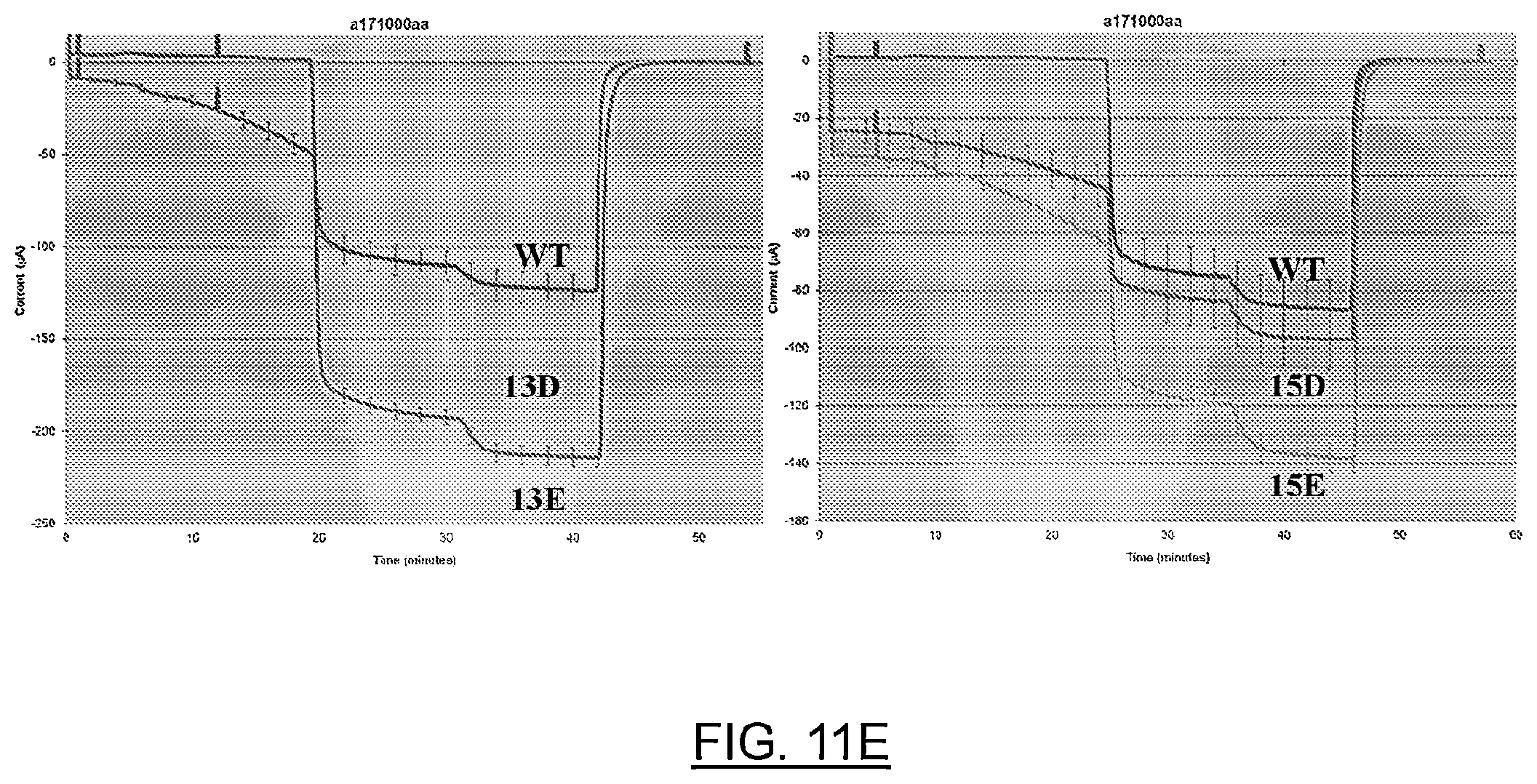 Patent US12611442 Figure 17 – mRNA encoding engineered CFTR