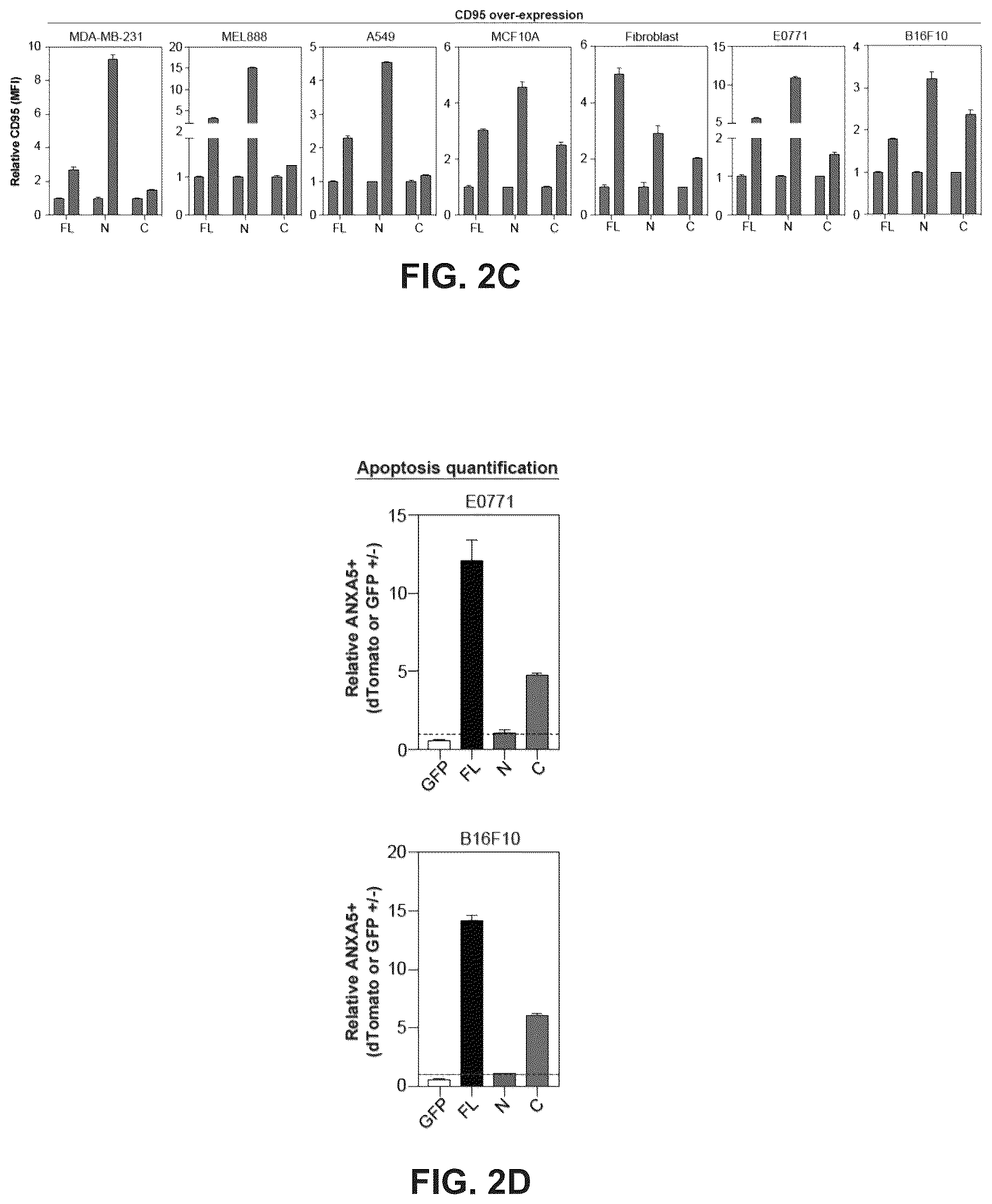 Patent US12611443 Figure 5 – Methods and compositions related to therapeutic peptides for cancer therapy