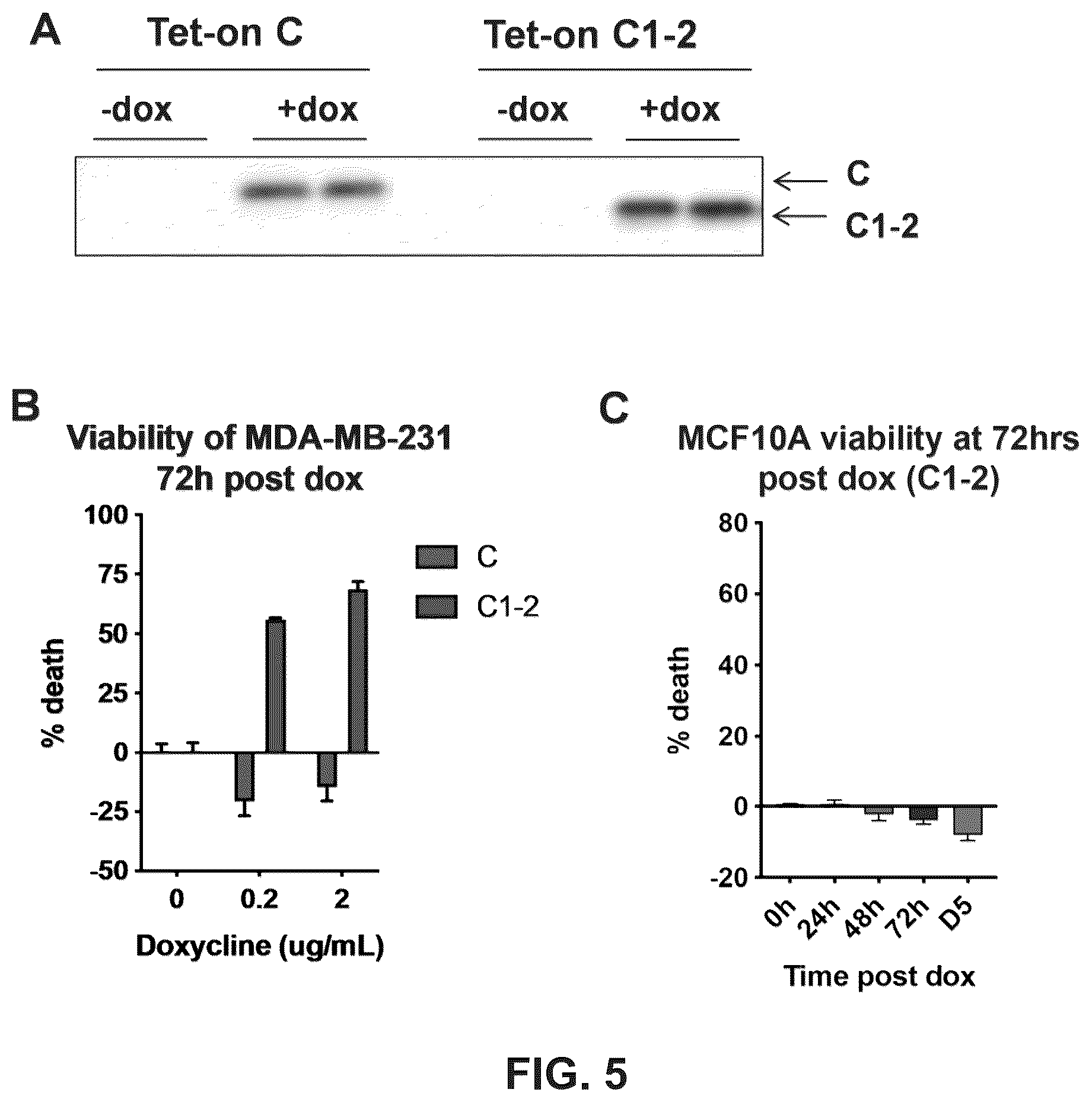 Patent US12611443 Figure 7 – Methods and compositions related to therapeutic peptides for cancer therapy