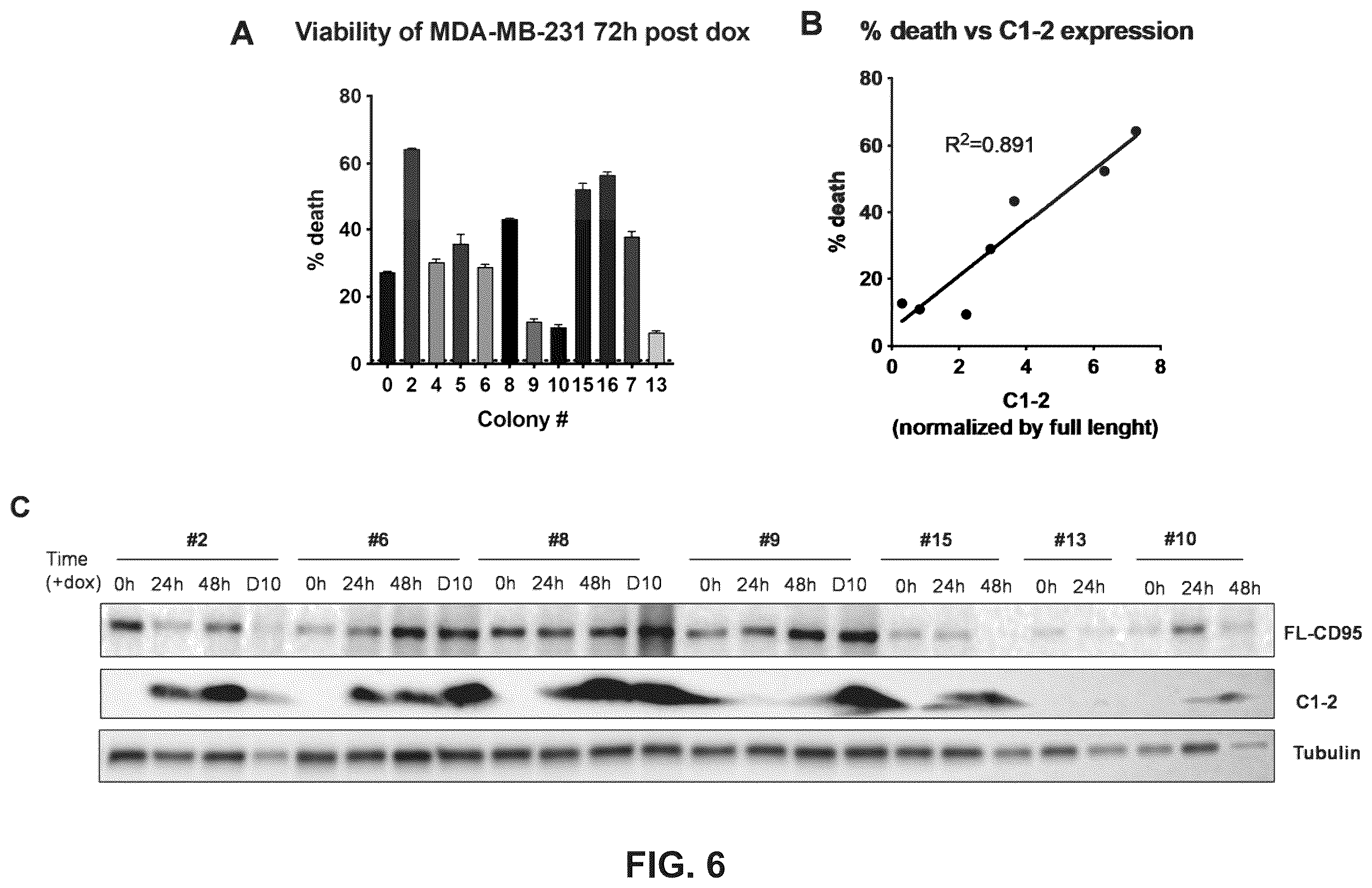 Patent US12611443 Figure 8 – Methods and compositions related to therapeutic peptides for cancer therapy