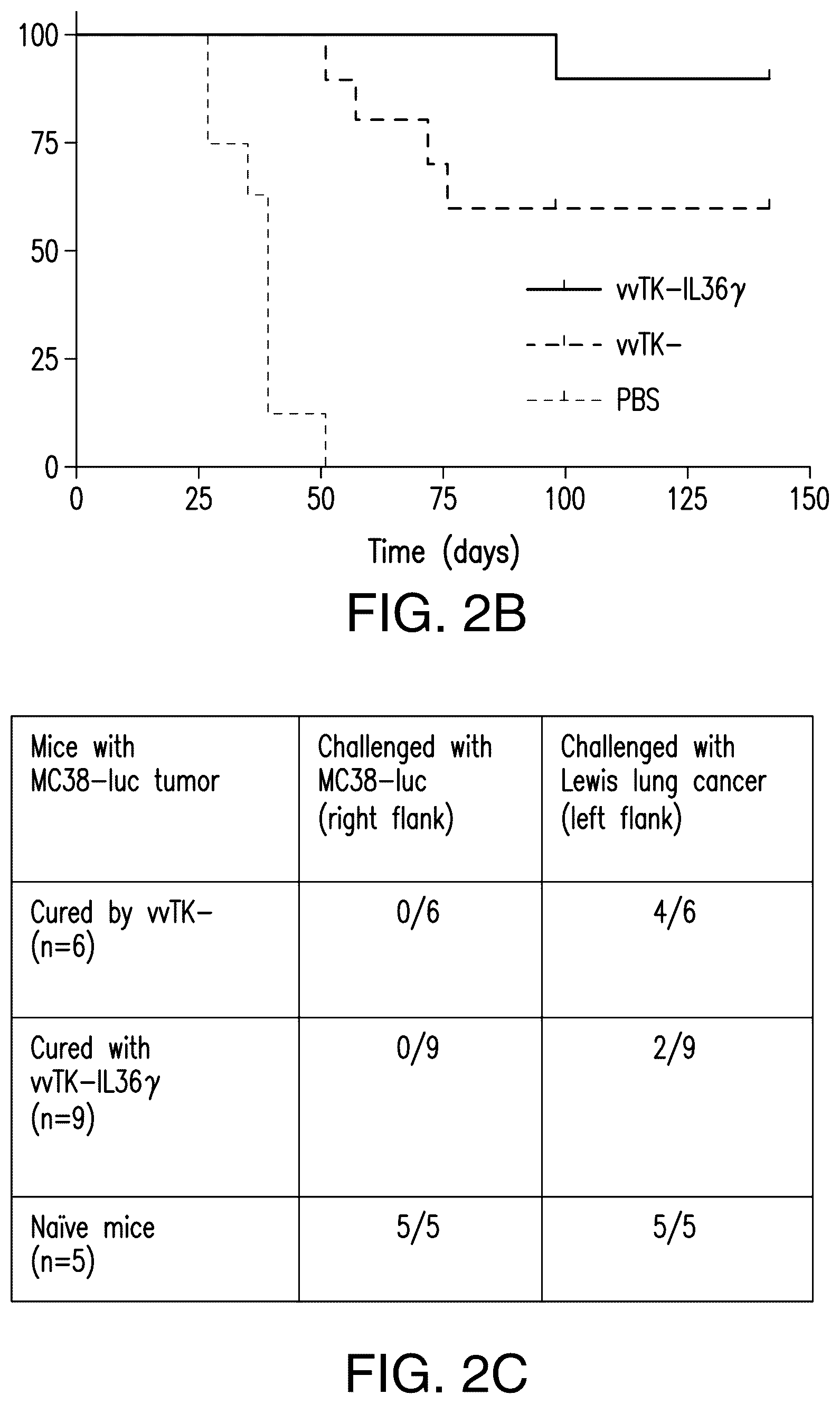 Patent US12611444 Figure 4 – IL-36 cytokine expressing oncolytic viruses for treating cancer