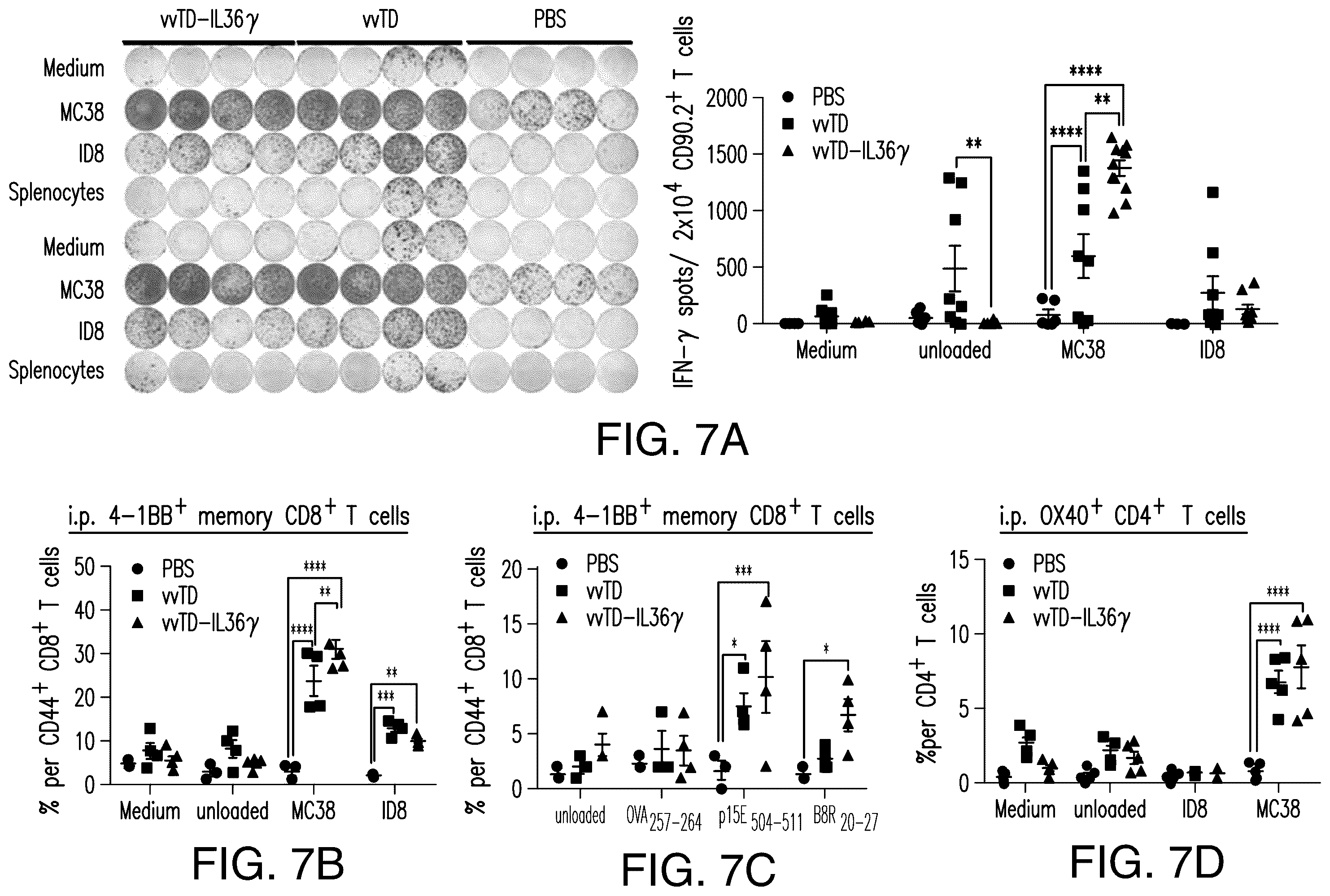 Patent US12611444 Figure 11 – IL-36 cytokine expressing oncolytic viruses for treating cancer