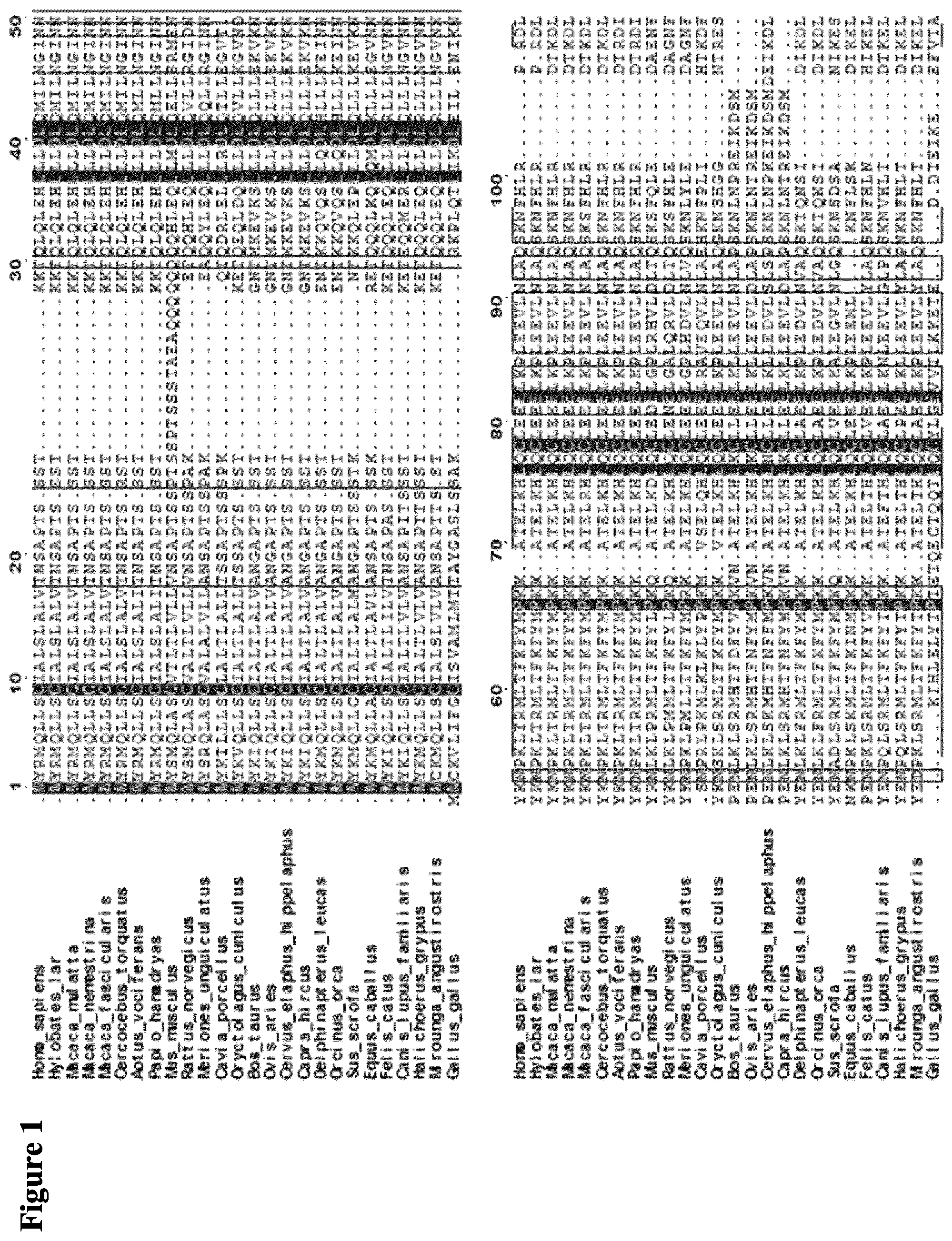 Patent US12611445 Figure 1 – Interleukin-2 variants with modified biological activity