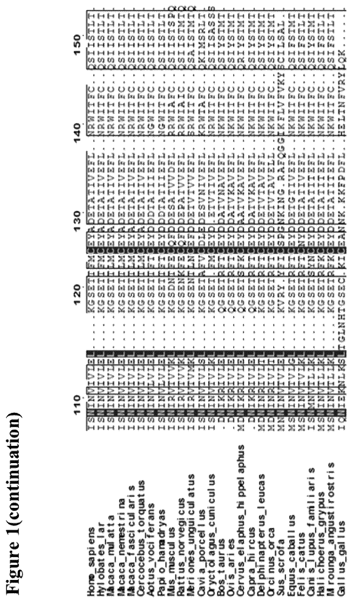 Patent US12611445 Figure 2 – Interleukin-2 variants with modified biological activity