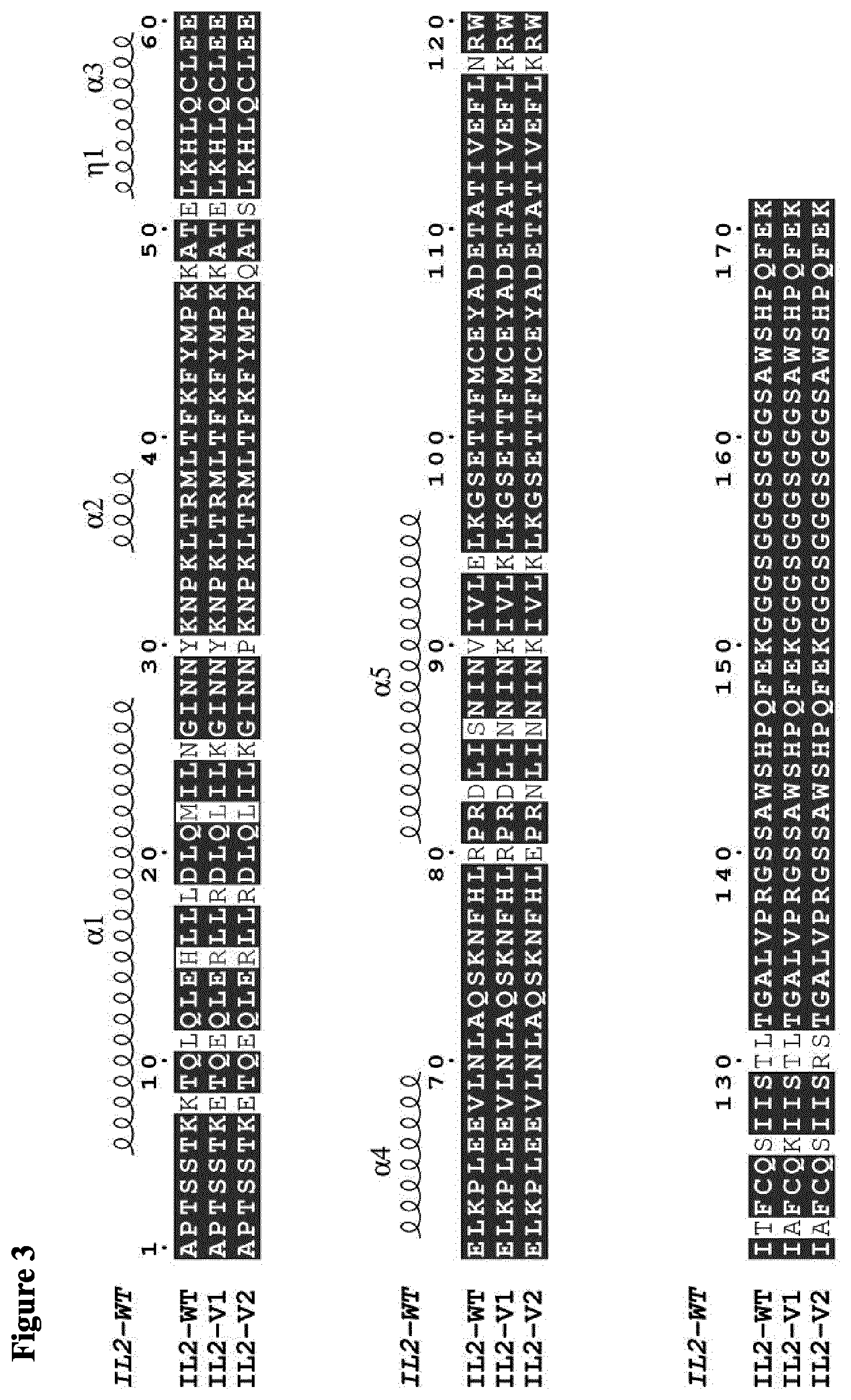 Patent US12611445 Figure 4 – Interleukin-2 variants with modified biological activity