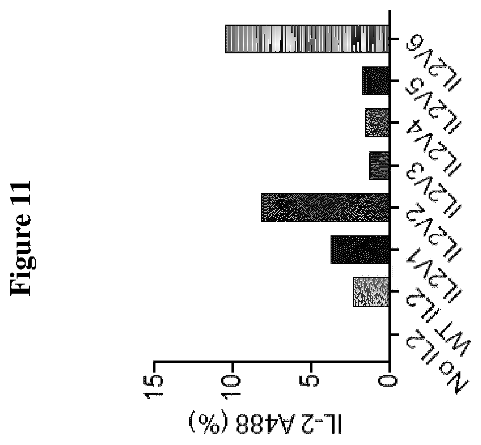 Patent US12611445 Figure 13 – Interleukin-2 variants with modified biological activity