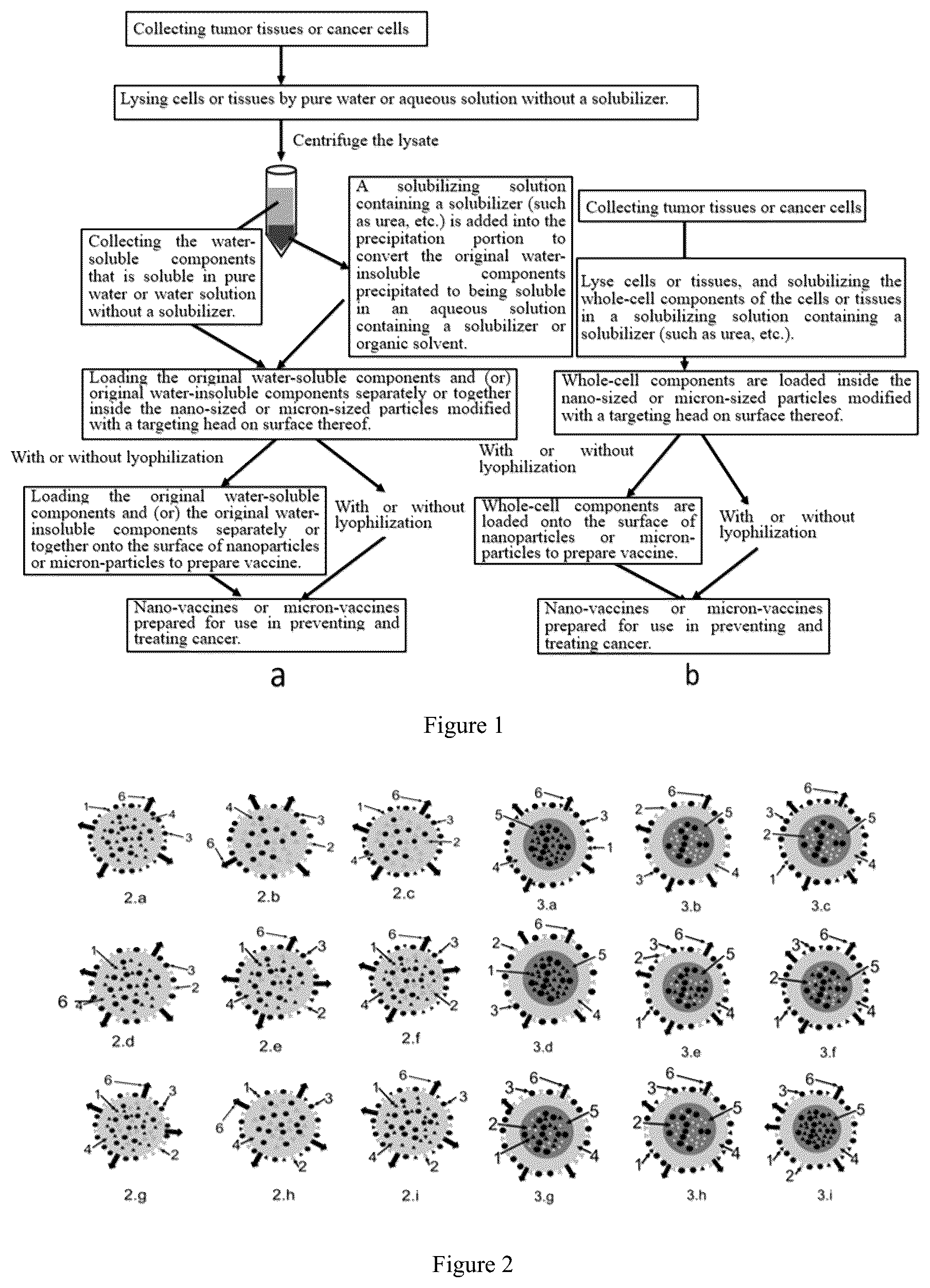 Patent US12611448 Figure 1 – Targeting delivery system loaded with whole-cell components and use thereof
