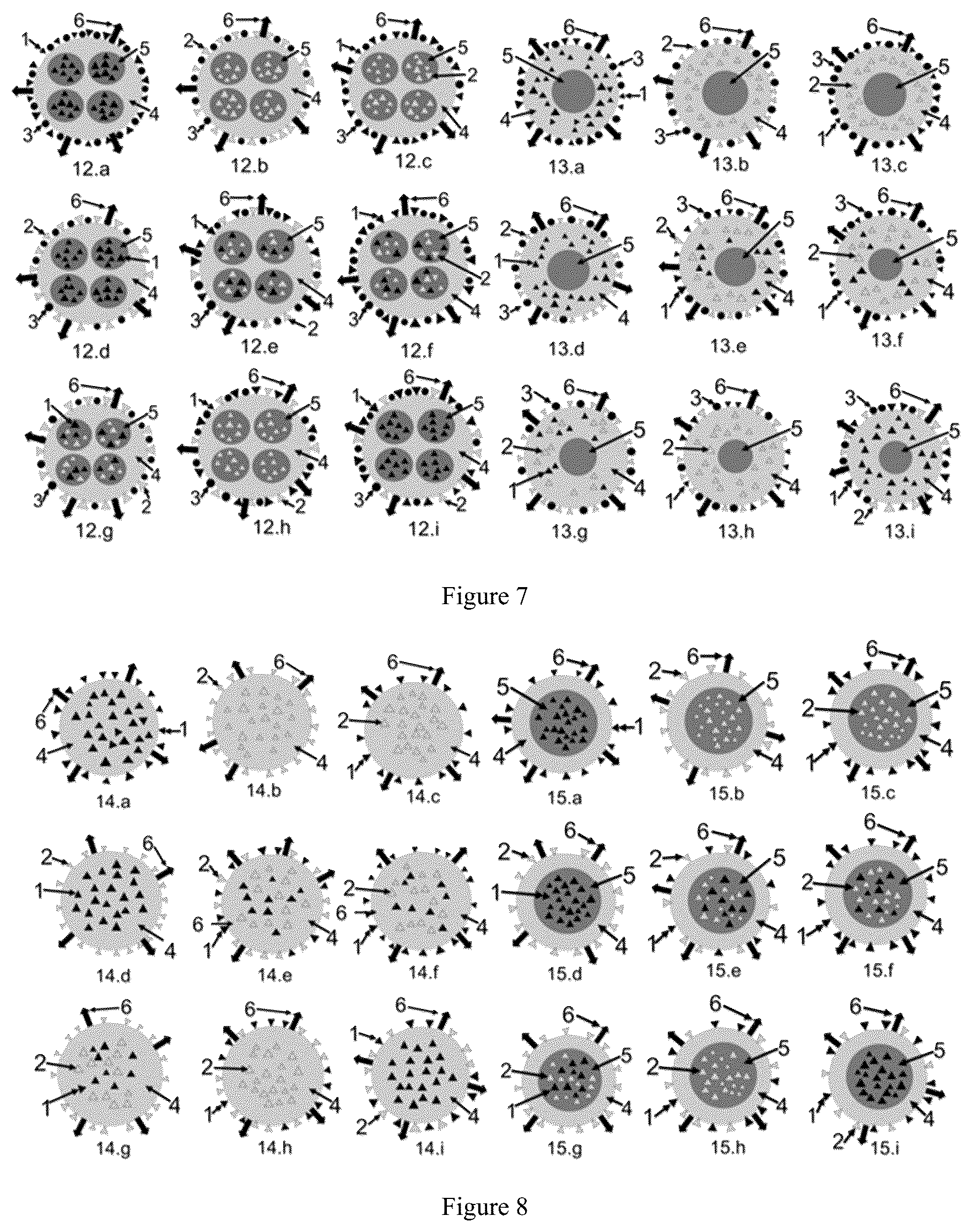 Patent US12611448 Figure 4 – Targeting delivery system loaded with whole-cell components and use thereof