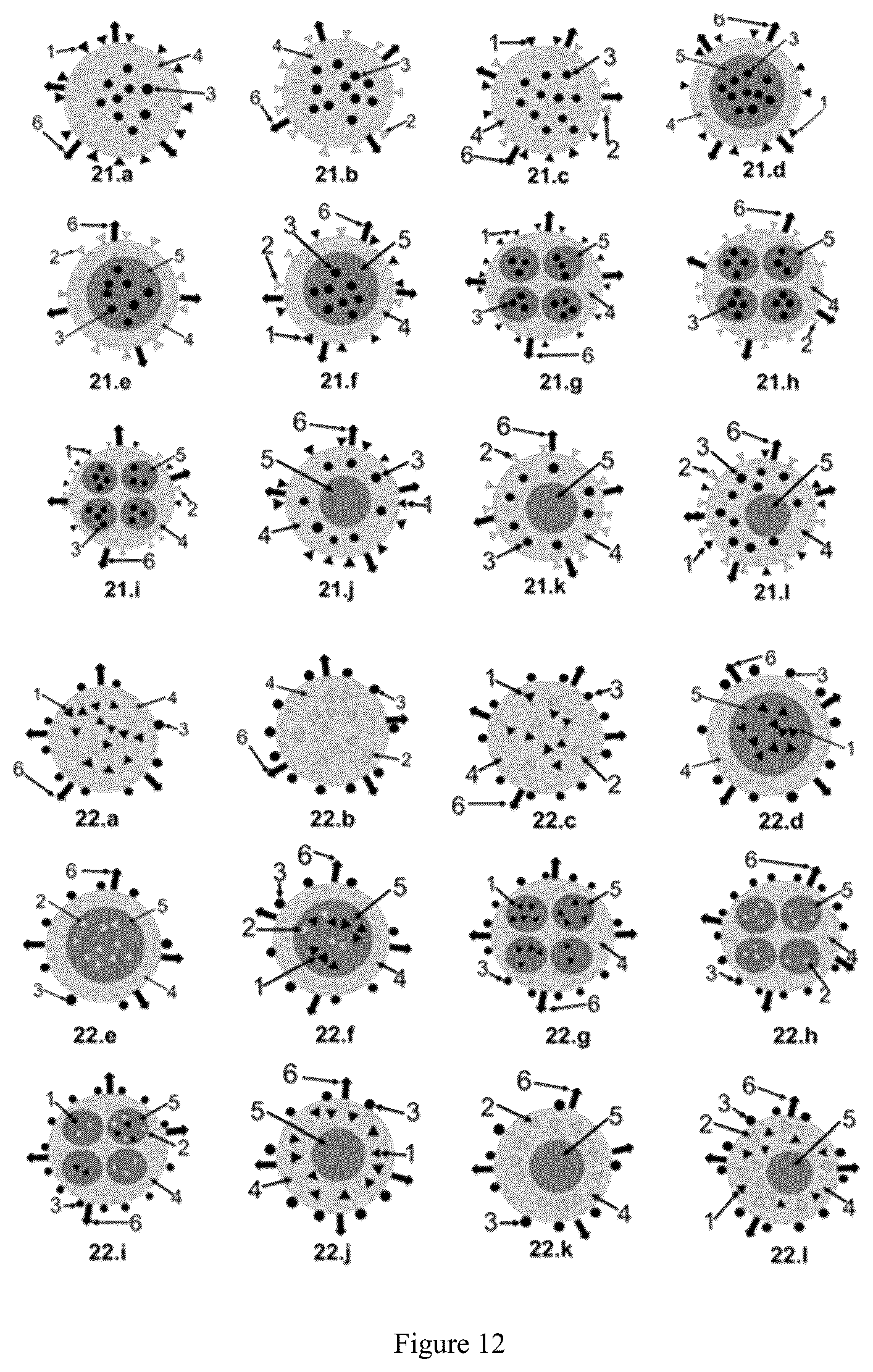 Patent US12611448 Figure 7 – Targeting delivery system loaded with whole-cell components and use thereof